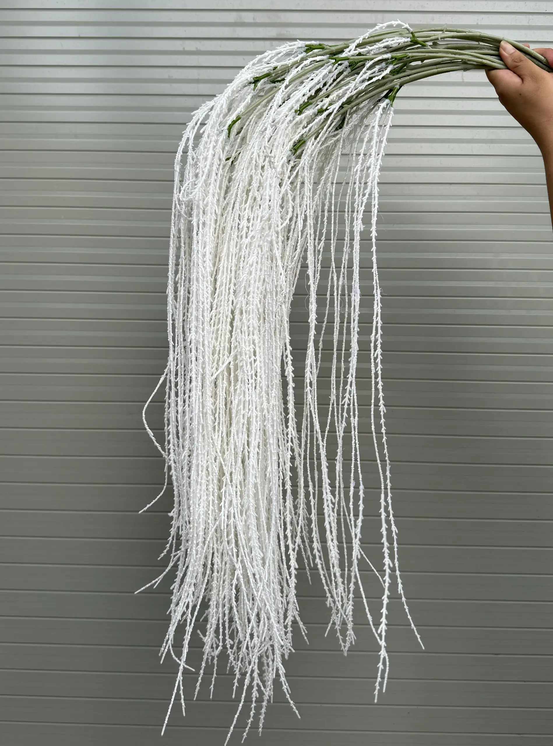 Điểm Rủ Cau - Ảnh 11