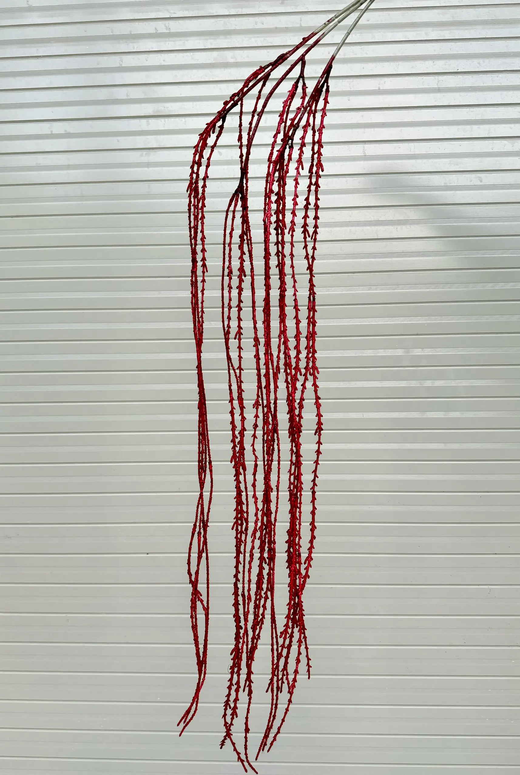 Điểm Rủ Cau - Ảnh 12