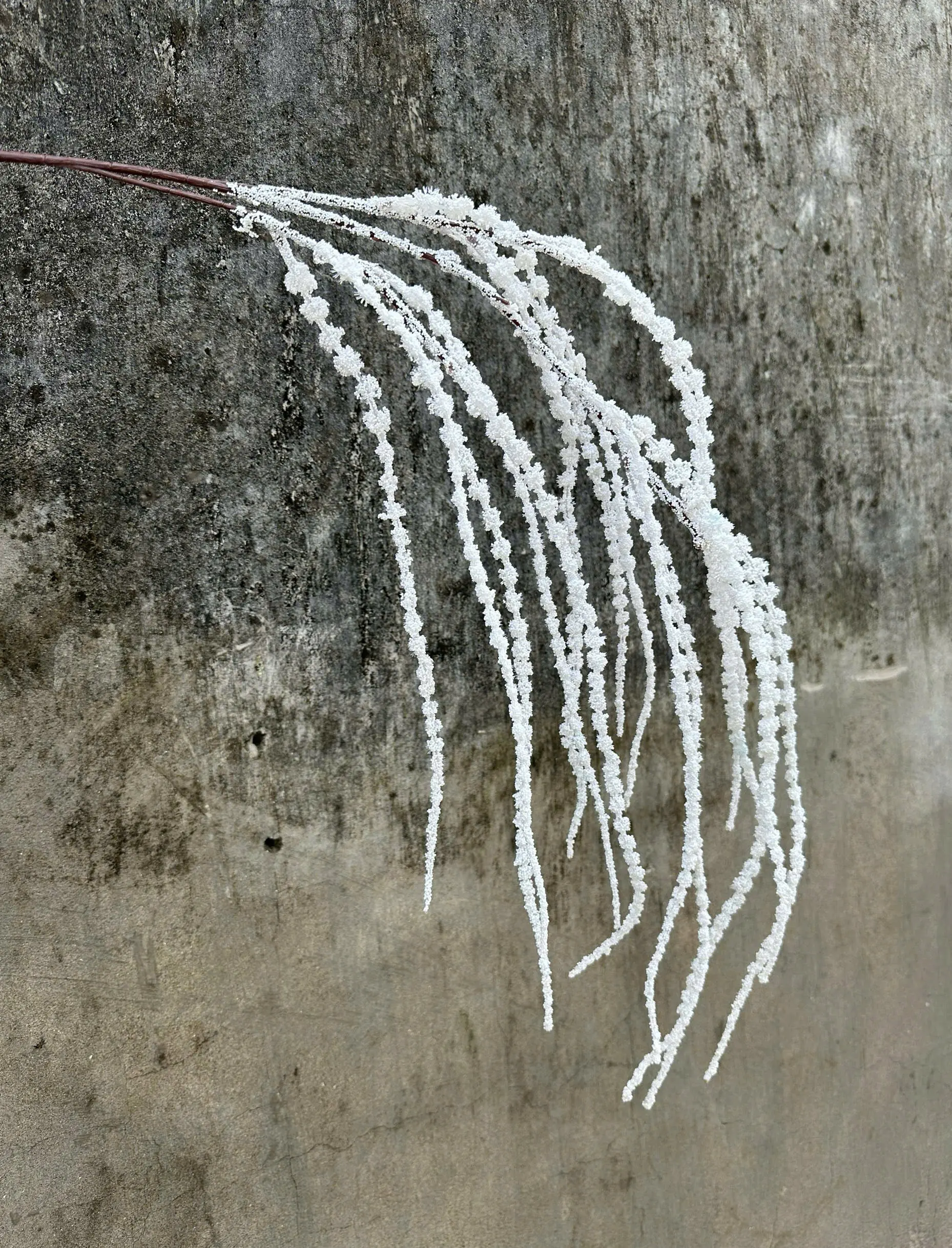 Điểm Rủ Dền Xốp Về Thêm - Ảnh 2