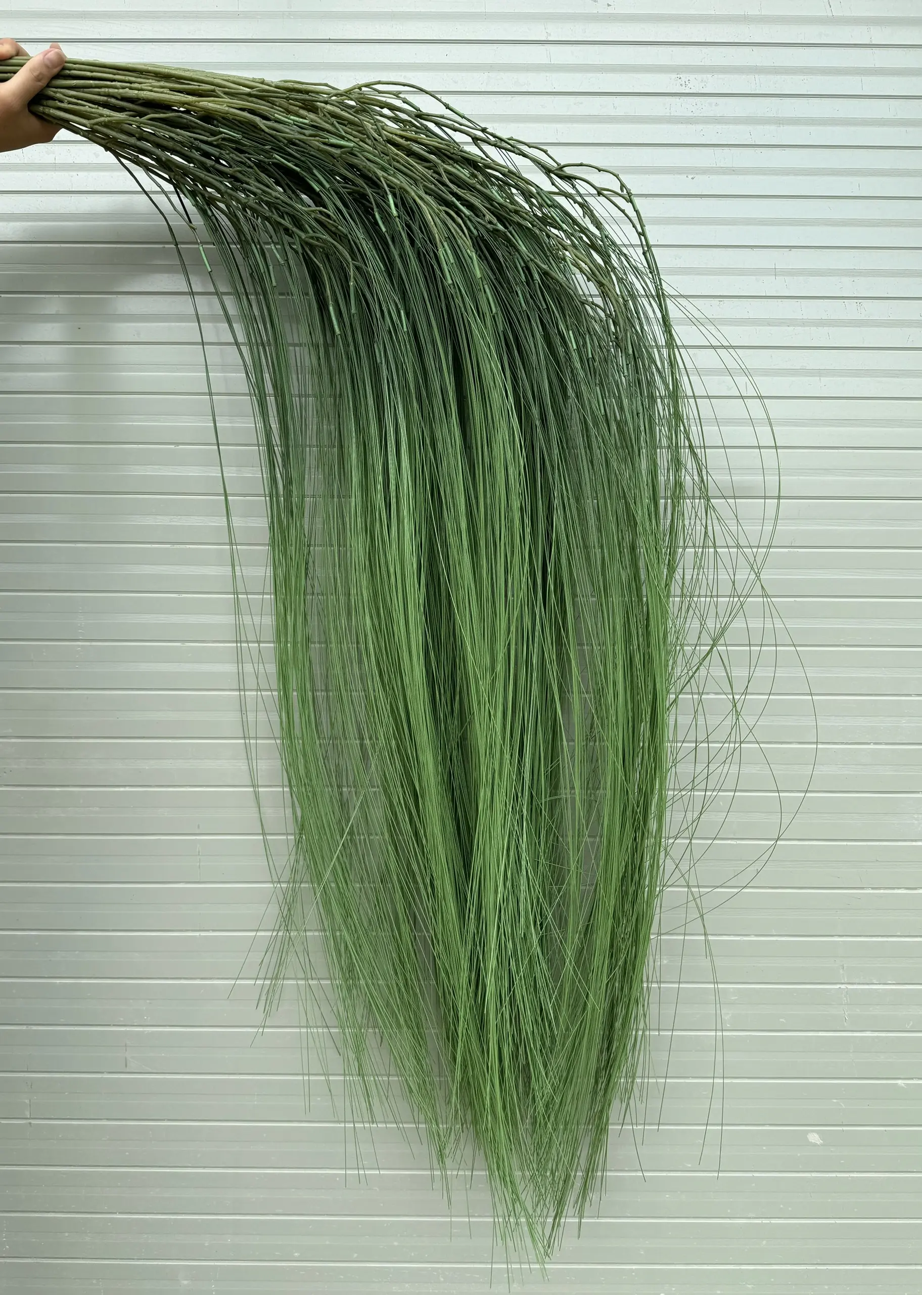 Điểm Rủ Kim - Ảnh 2