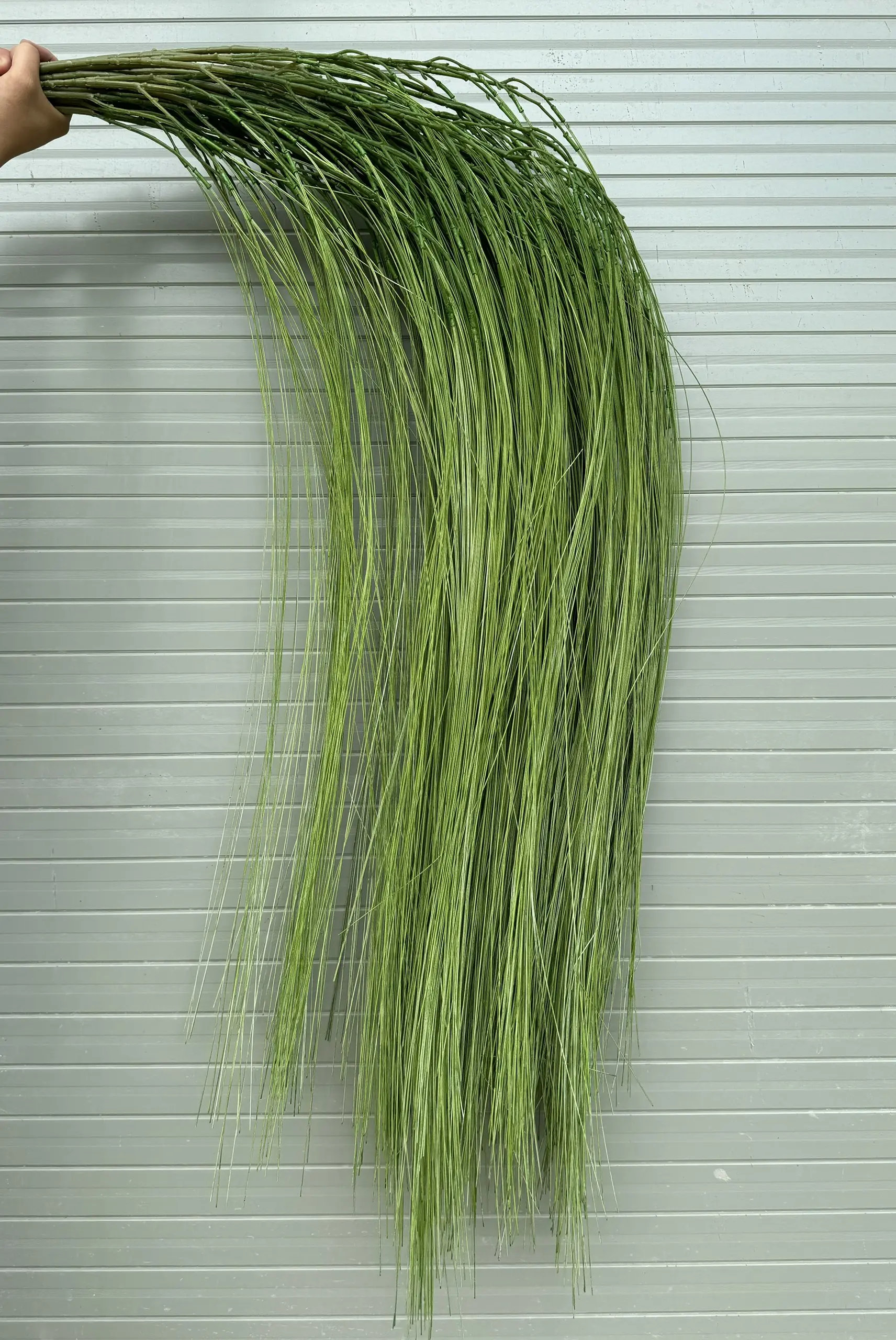 Điểm Rủ Kim - Ảnh 3