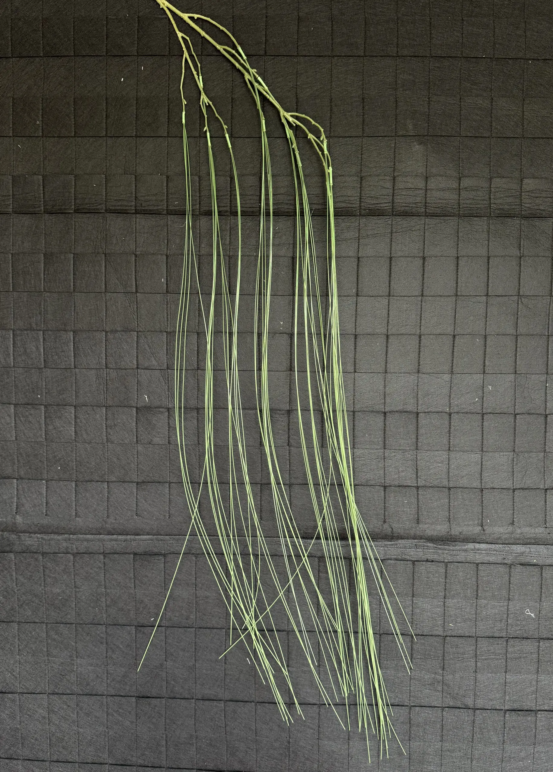 Điểm Rủ Kim - Ảnh 4