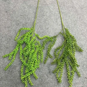 Điểm Rủ Liễu Kép