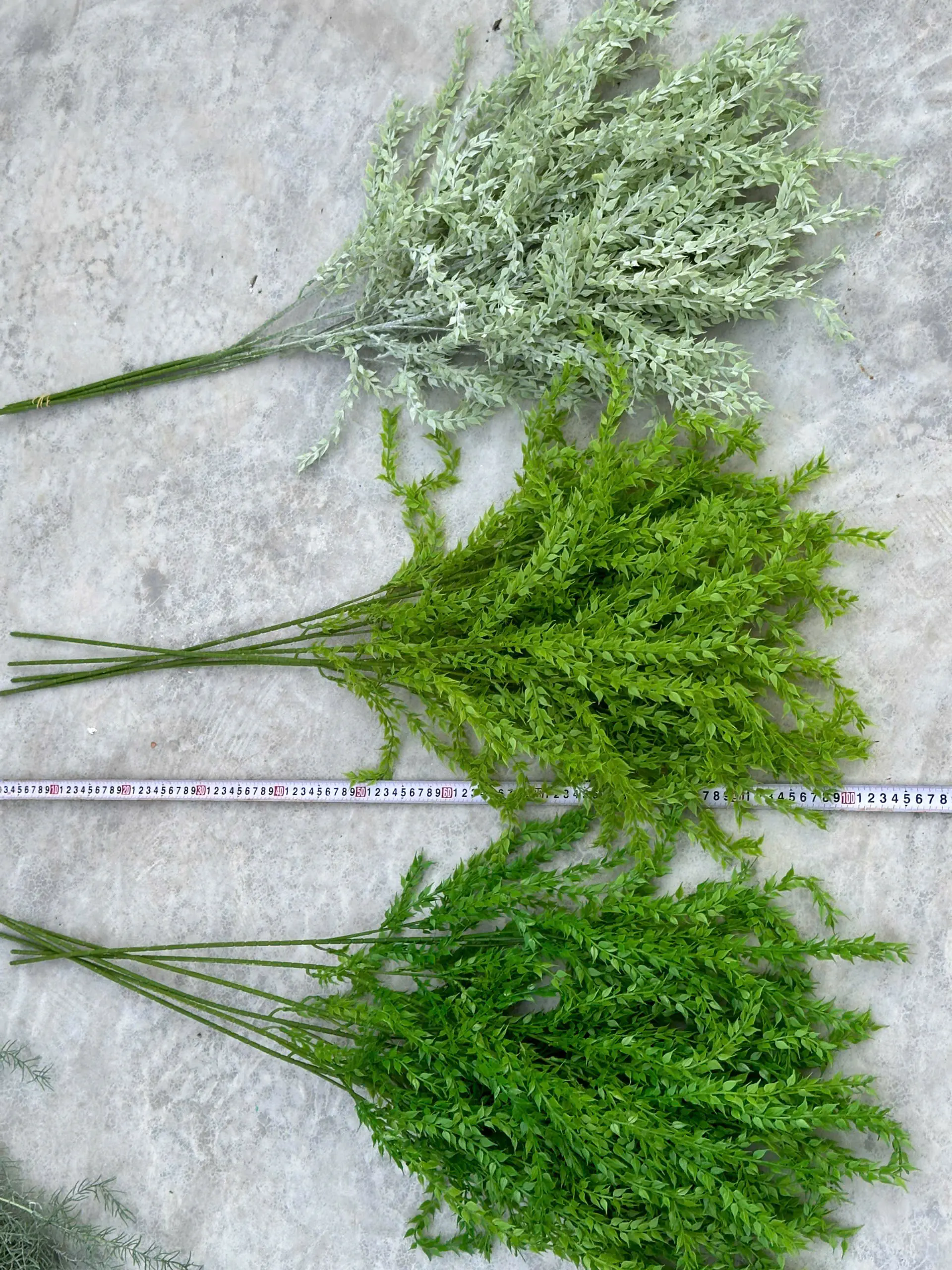 Điểm Rủ Liễu Kép - Ảnh 2