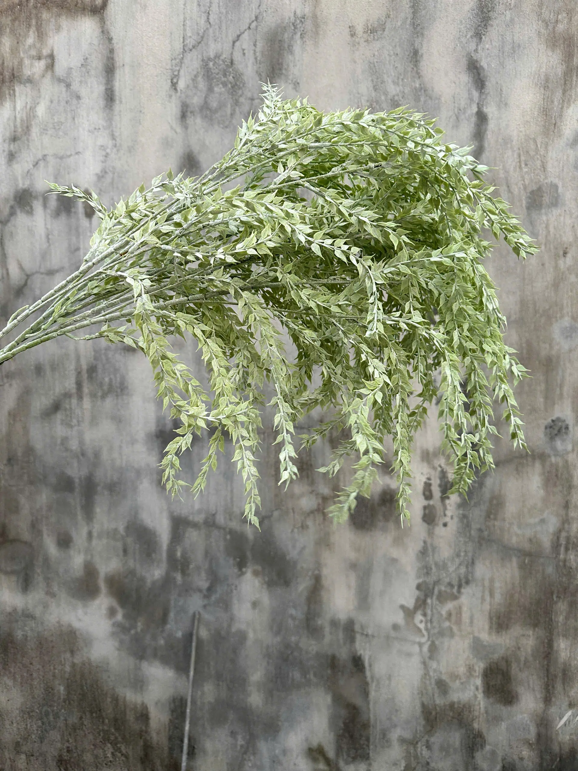 Điểm Rủ Liễu Kép - Ảnh 3