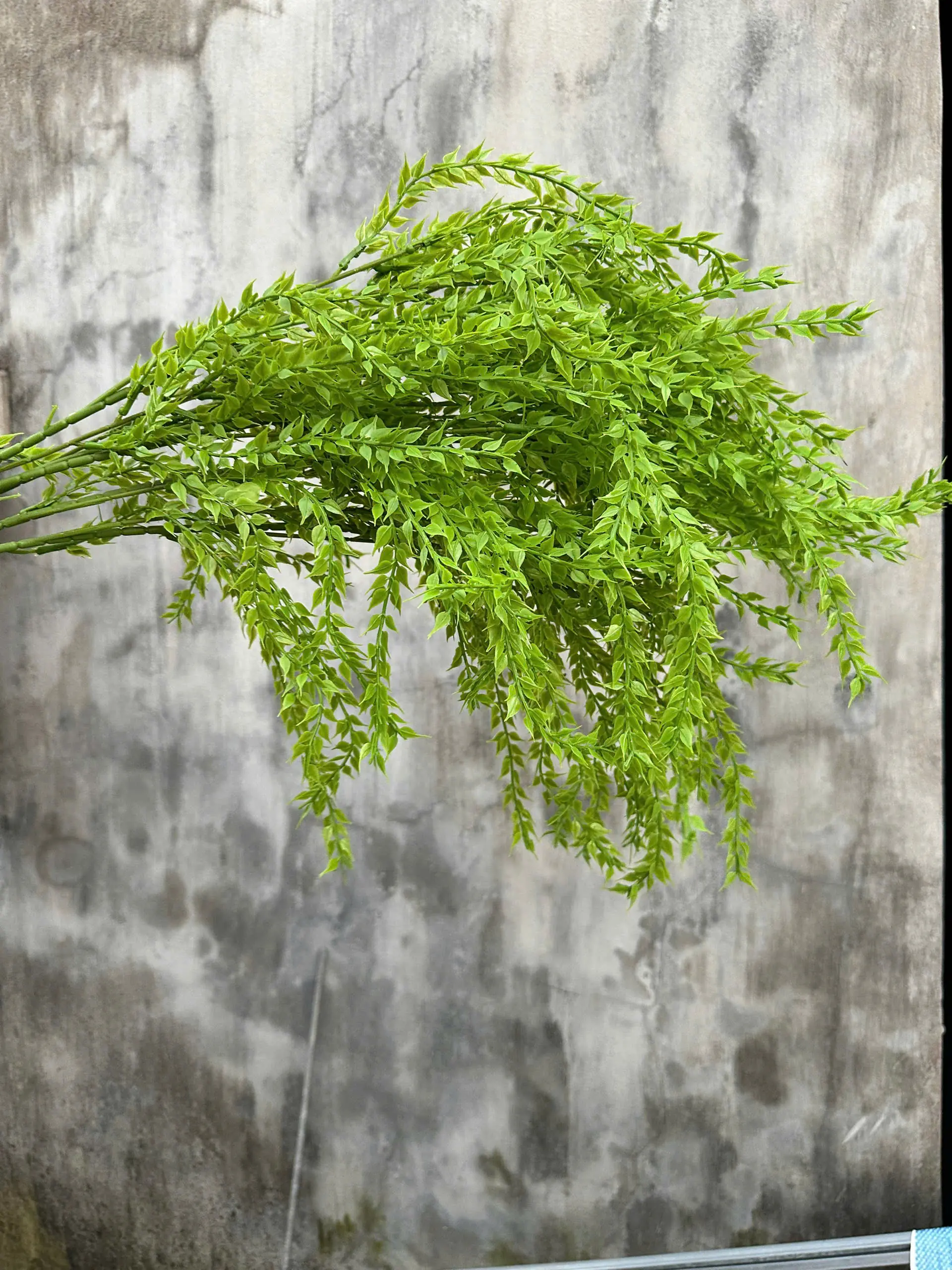 Điểm Rủ Liễu Kép - Ảnh 4