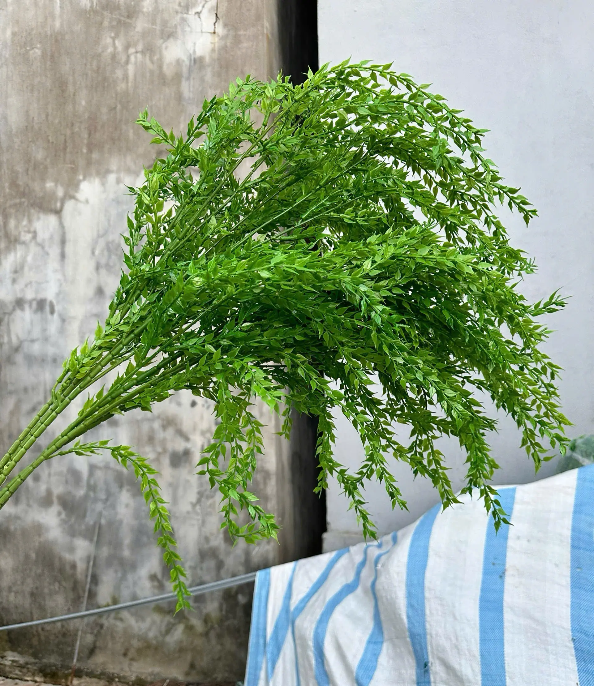 Điểm Rủ Liễu Kép - Ảnh 5