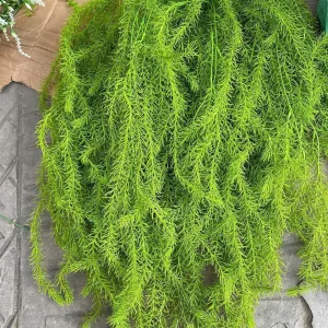 Điểm Rủ Rong To Sẵn Hàng.