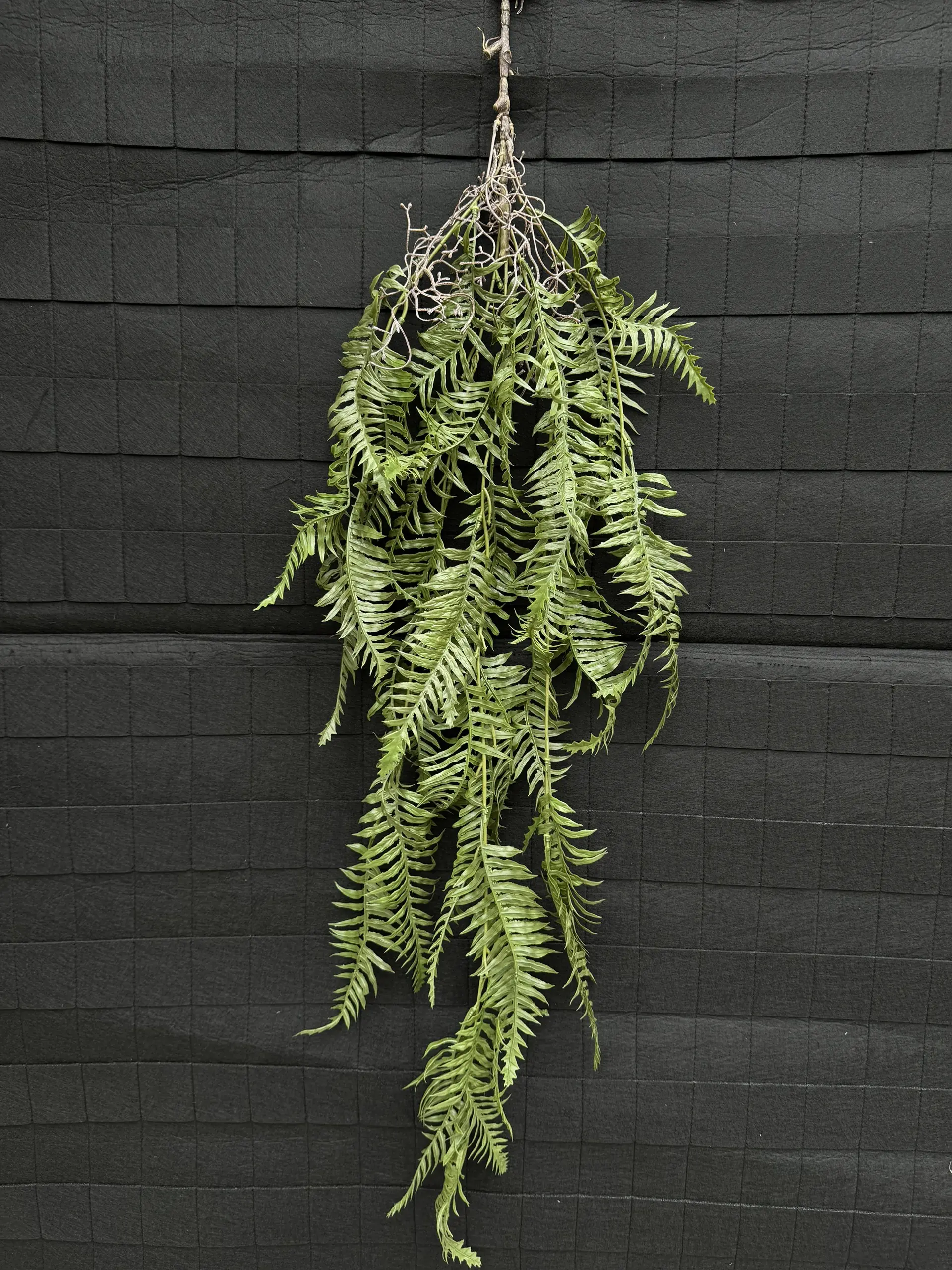 Điểm Rủ Rừng Cao Su