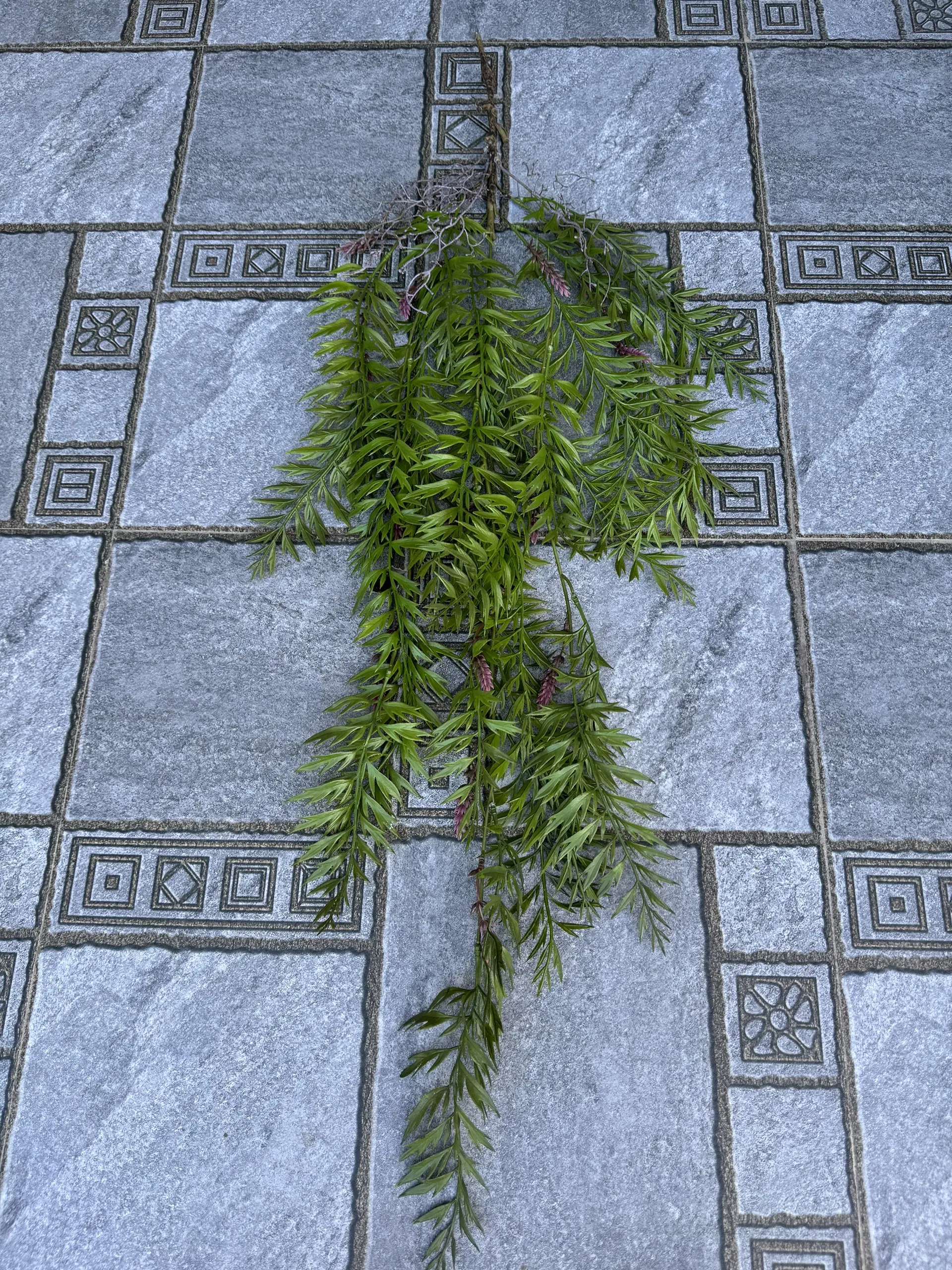 Điểm Rủ Rừng Cao Su - Ảnh 9