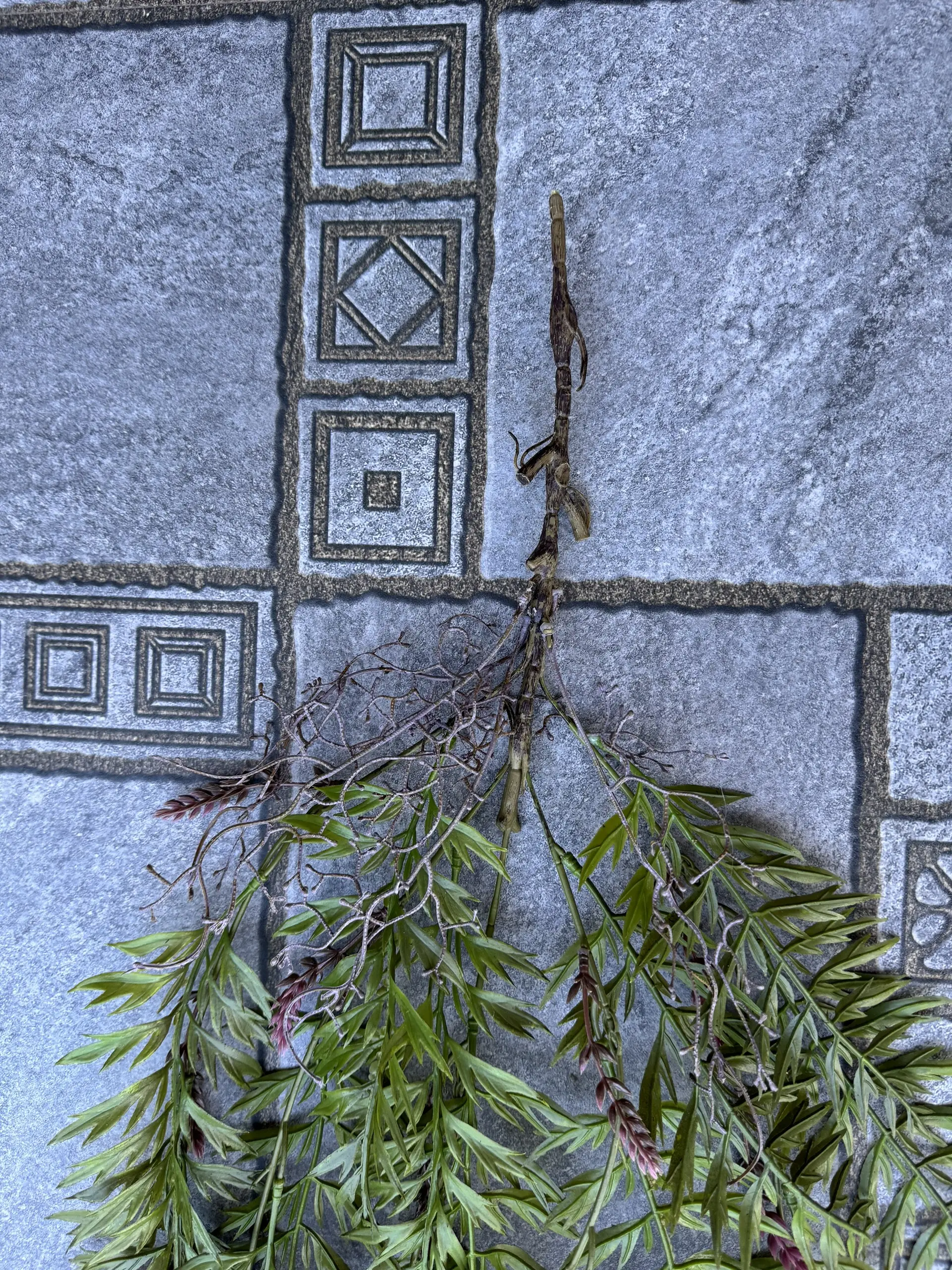 Điểm Rủ Rừng Cao Su - Ảnh 10