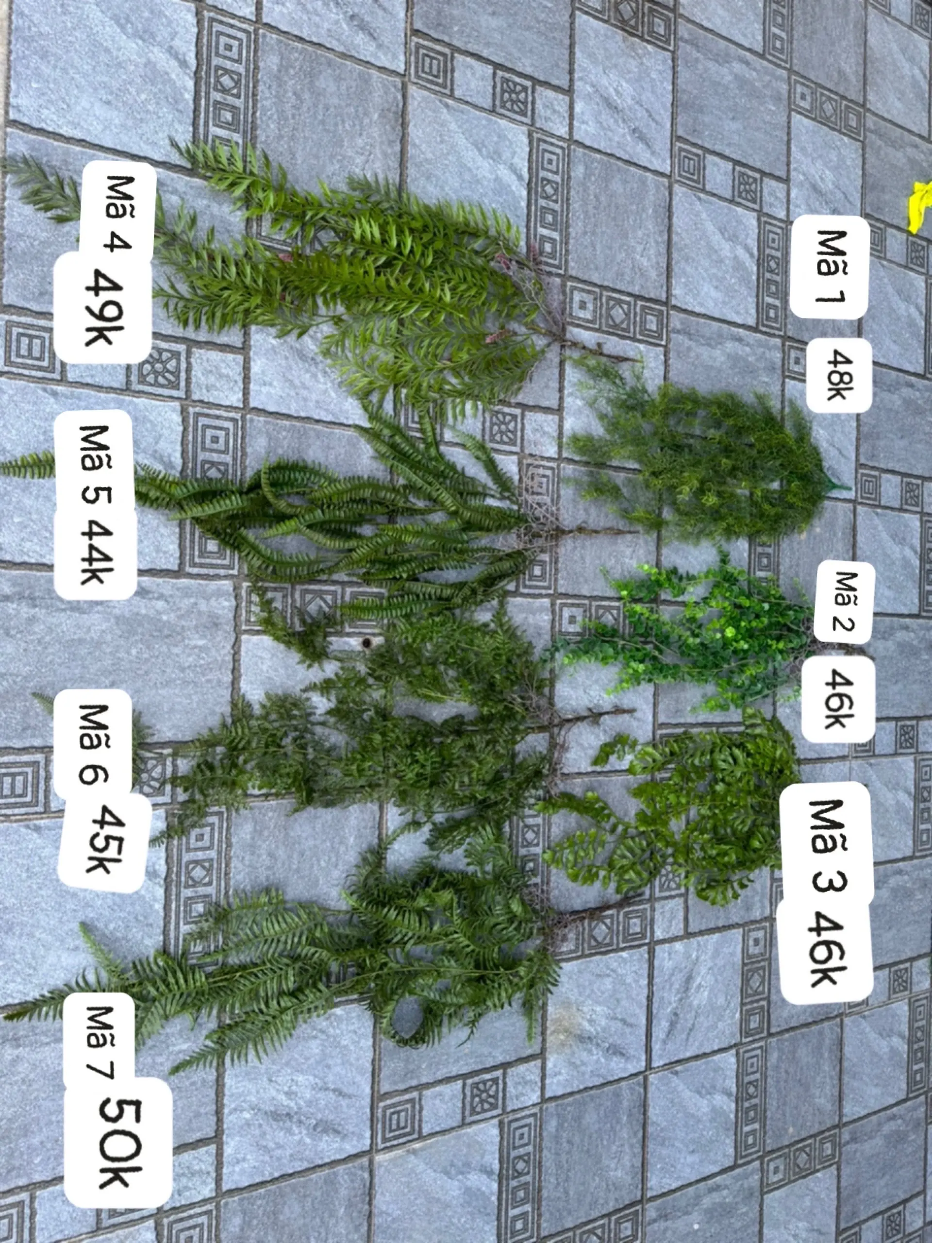 Điểm Rủ Rừng Cao Su - Ảnh 16