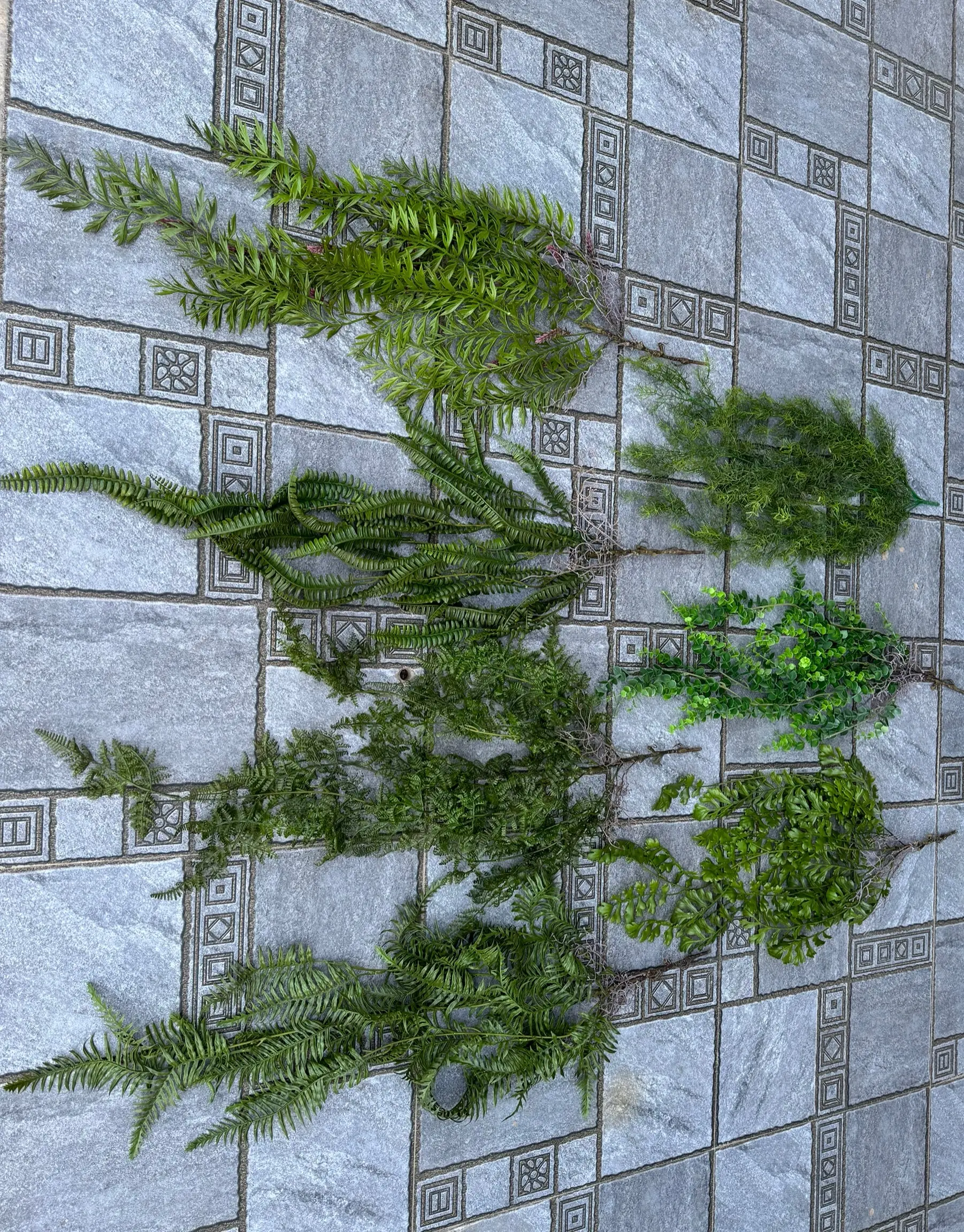 Điểm Rủ Rừng Cao Su - Ảnh 17