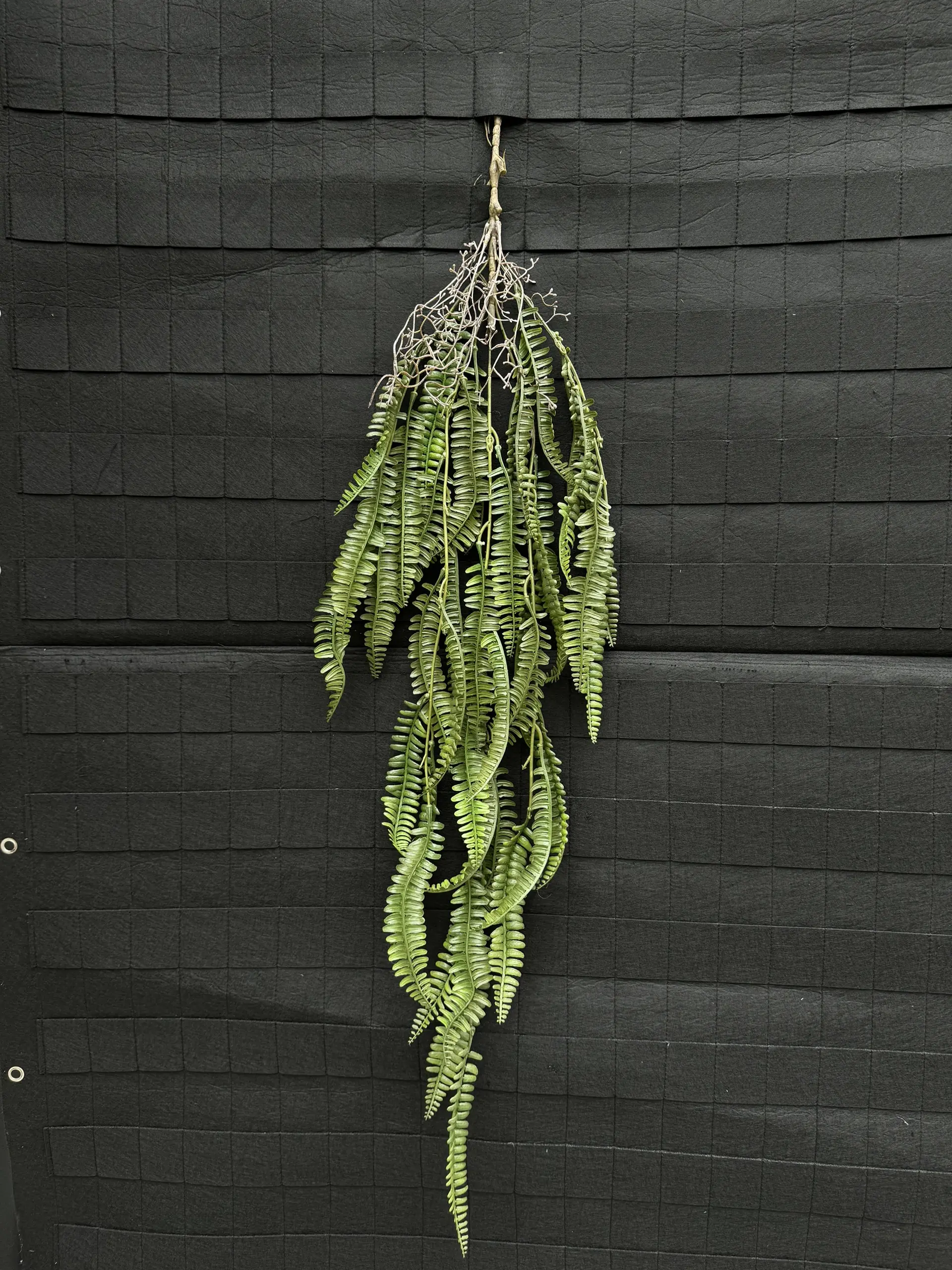 Điểm Rủ Rừng Cao Su - Ảnh 18