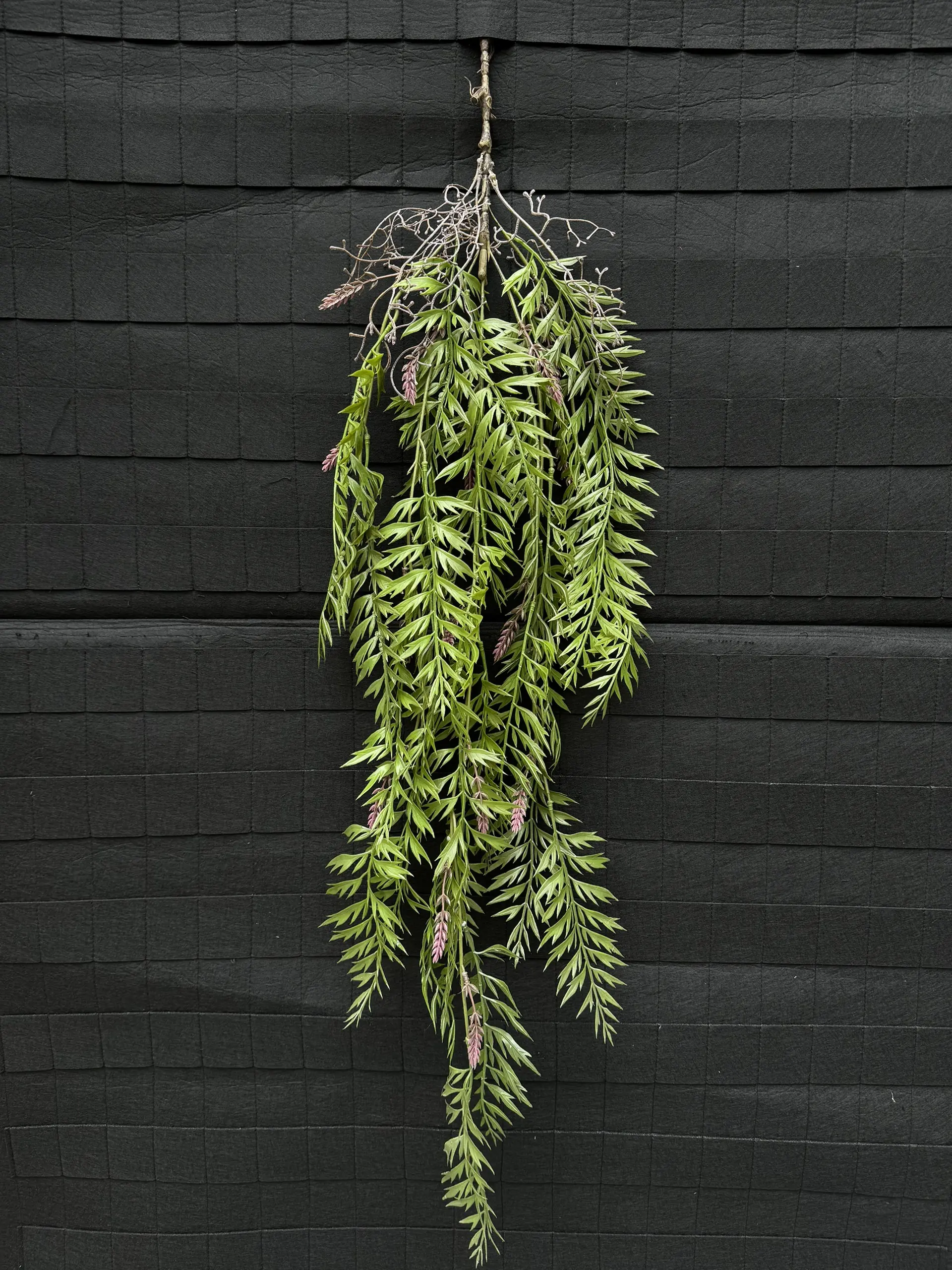 Điểm Rủ Rừng Cao Su - Ảnh 20