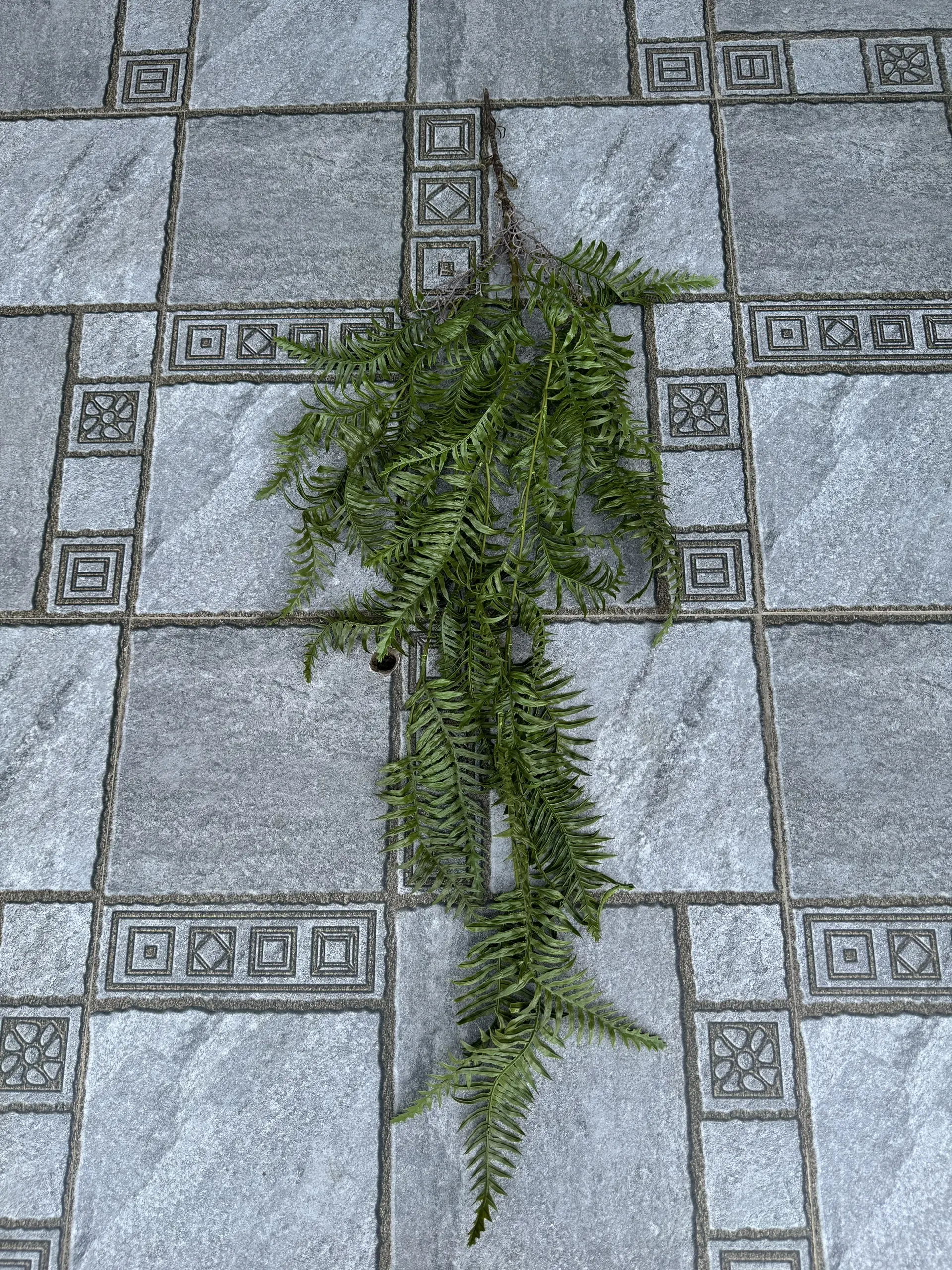 Điểm Rủ Rừng Cao Su - Ảnh 24