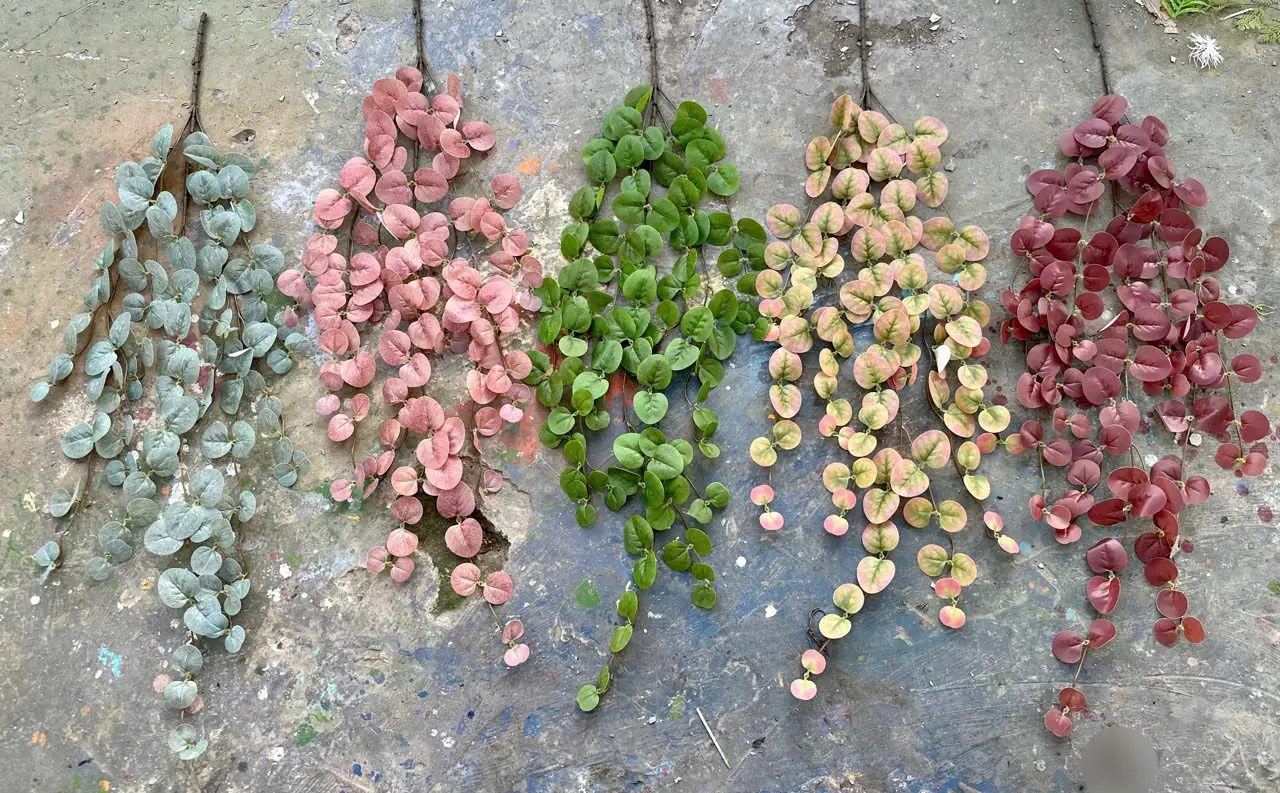 Điểm Rủ Táo 3D - Ảnh 3