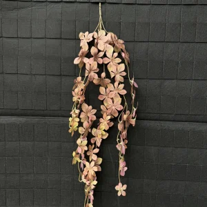 Điểm Rủ Thạch Nam 3D