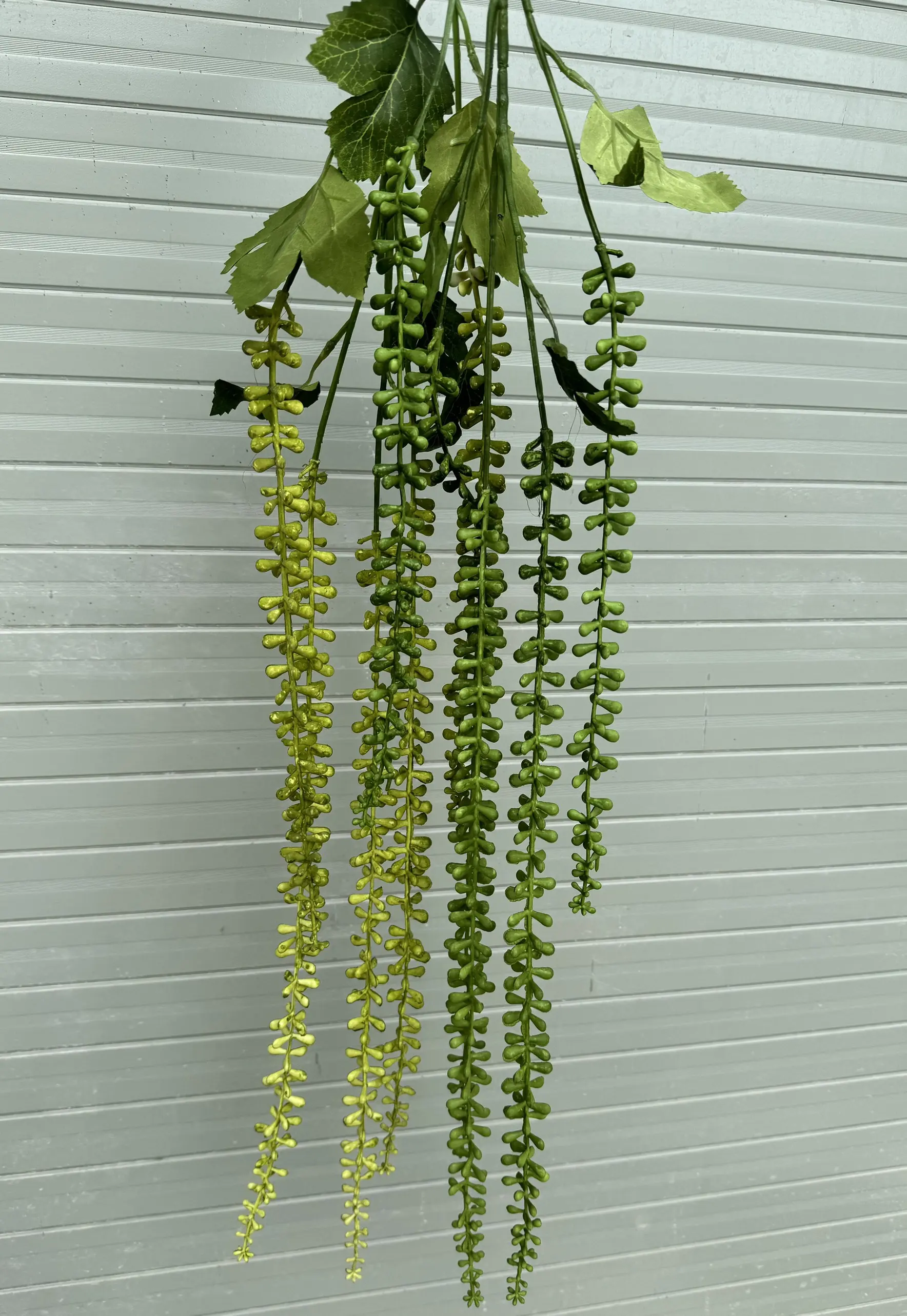 Điểm Rủ Tiêu - Ảnh 3