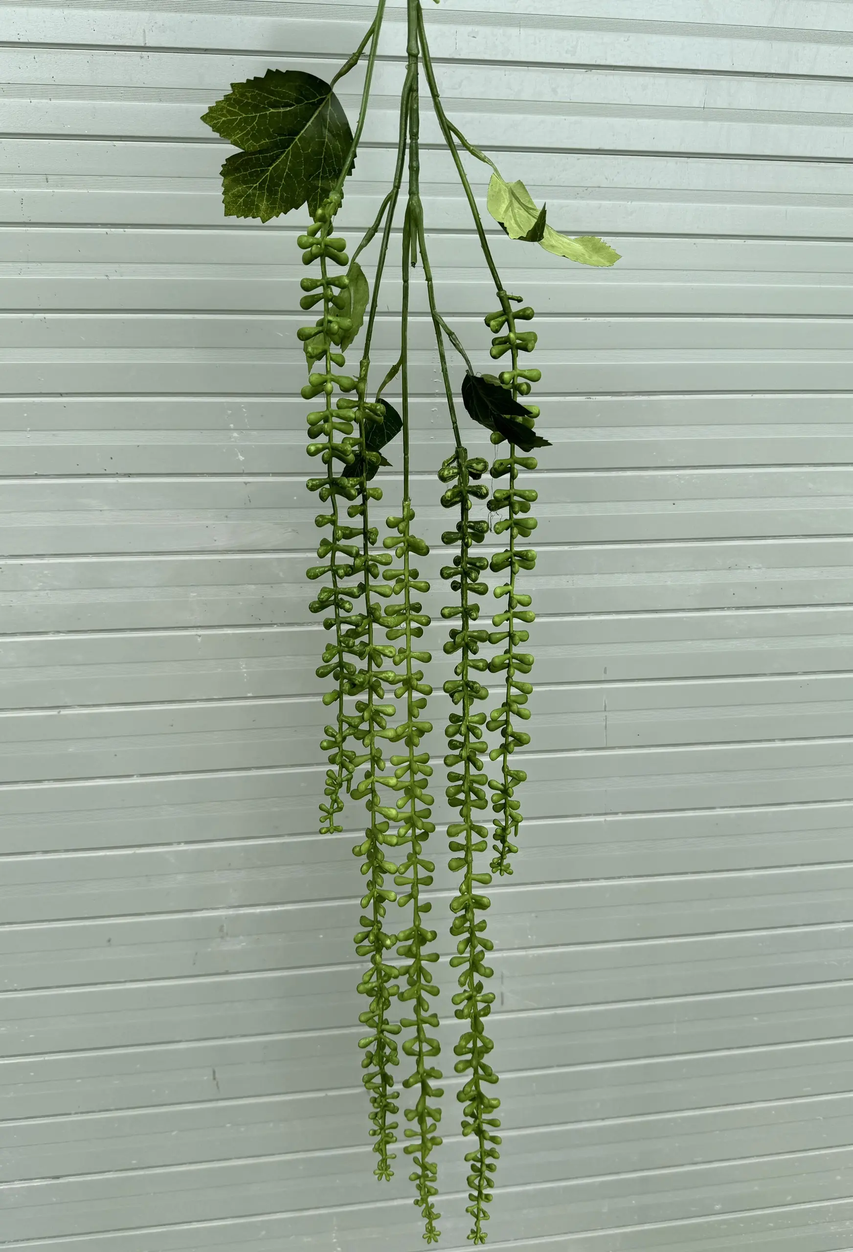 Điểm Rủ Tiêu - Ảnh 4