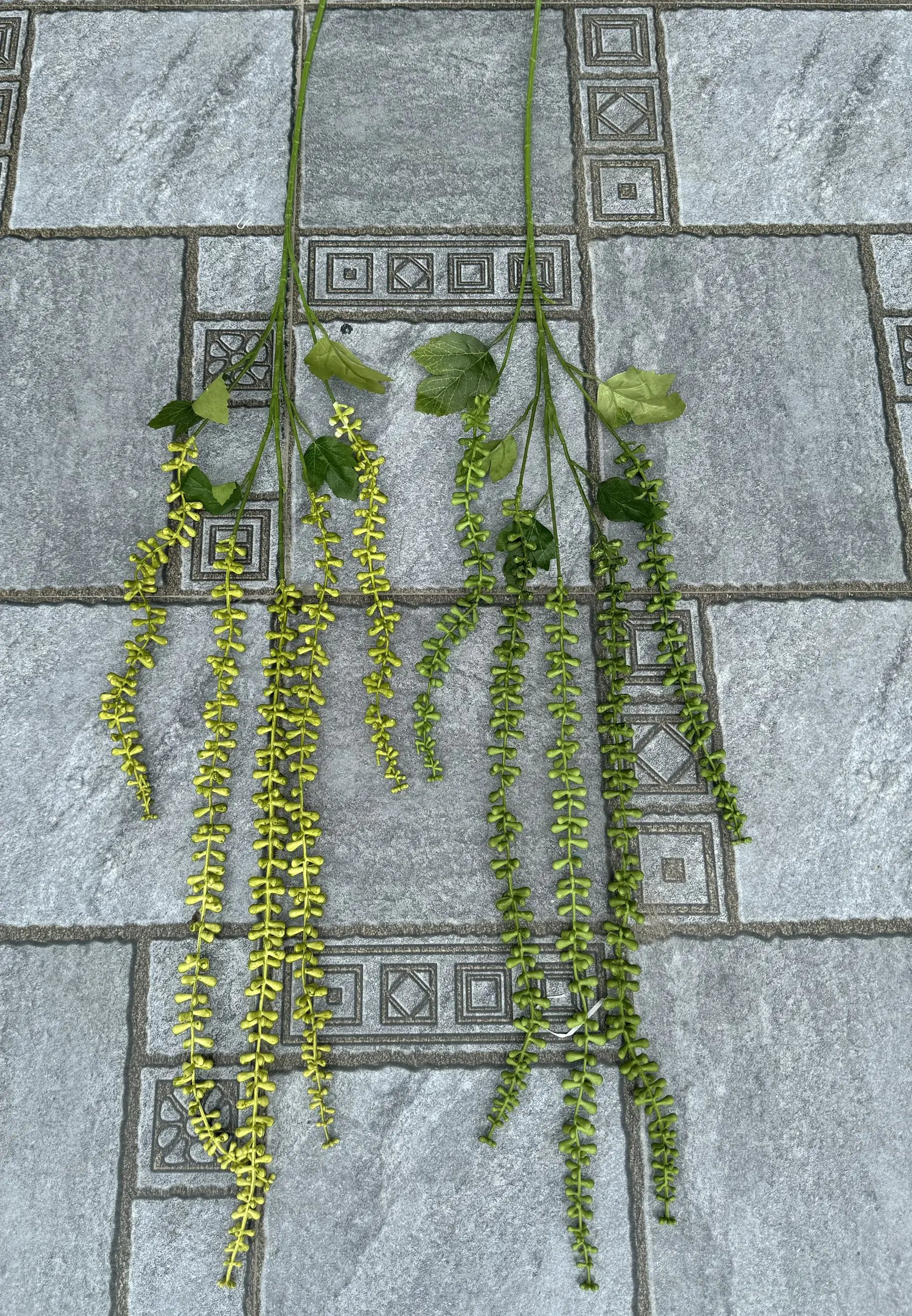 Điểm Rủ Tiêu - Ảnh 5