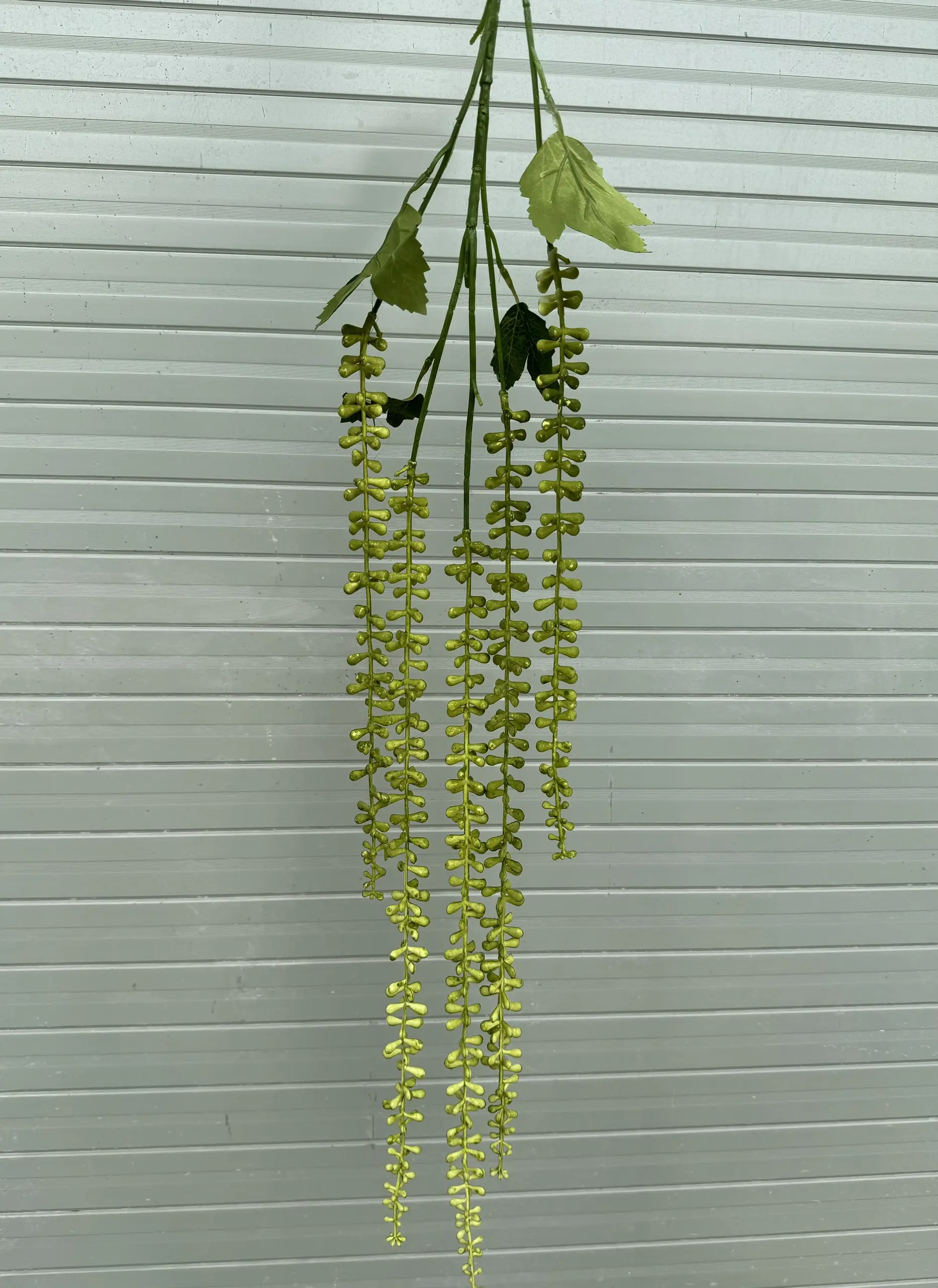 Điểm Rủ Tiêu - Ảnh 6