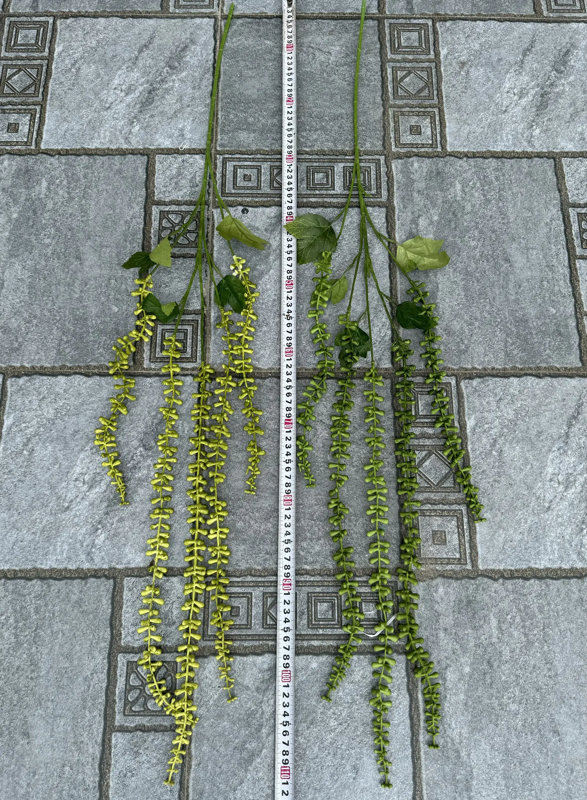 Điểm Rủ Tiêu - Ảnh 7