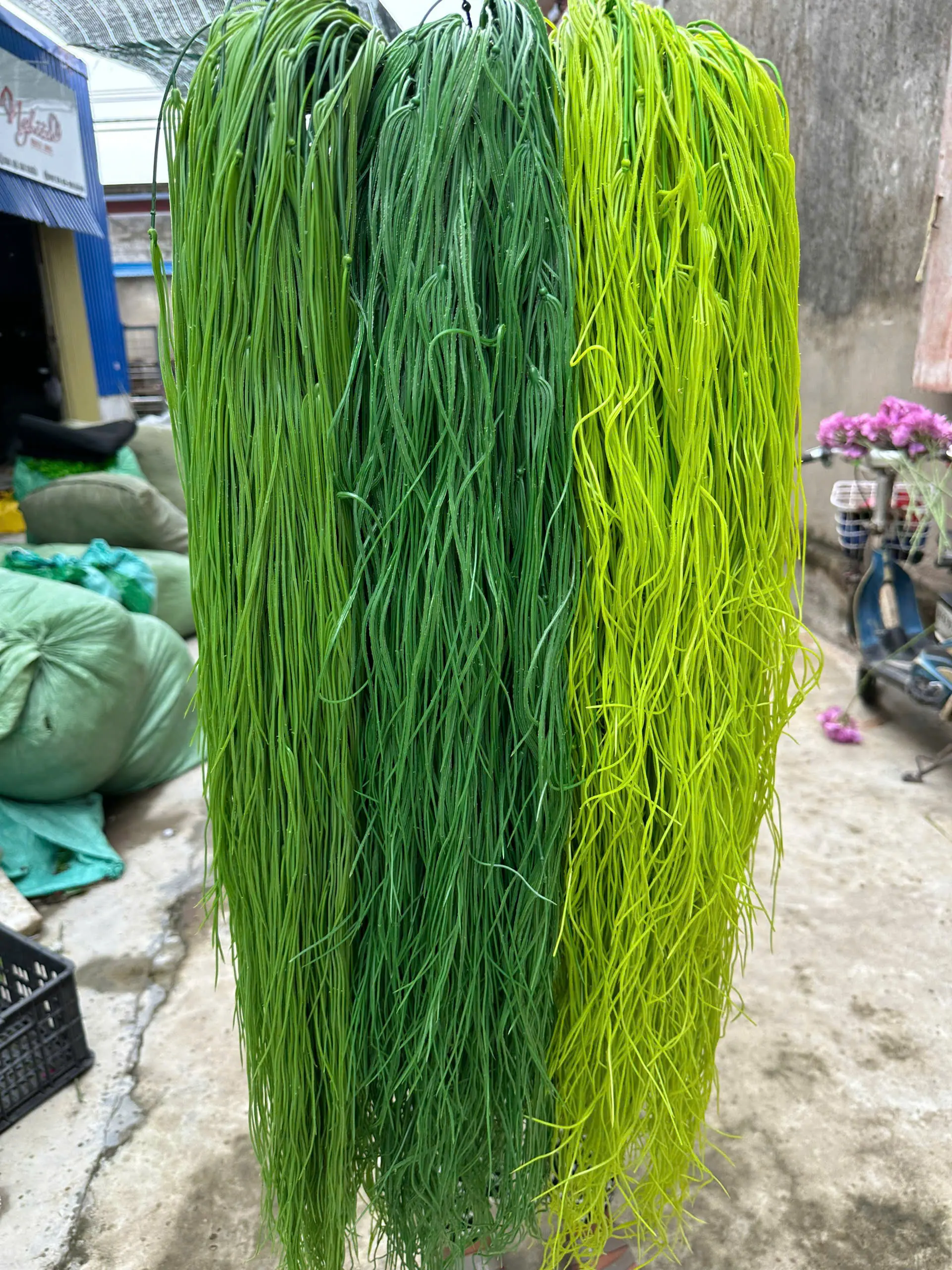 Điểm Rủ Tơ Đủ Màu