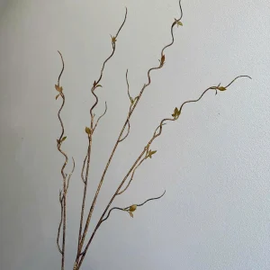 Điểm Salic Vip Sẵn Hàng