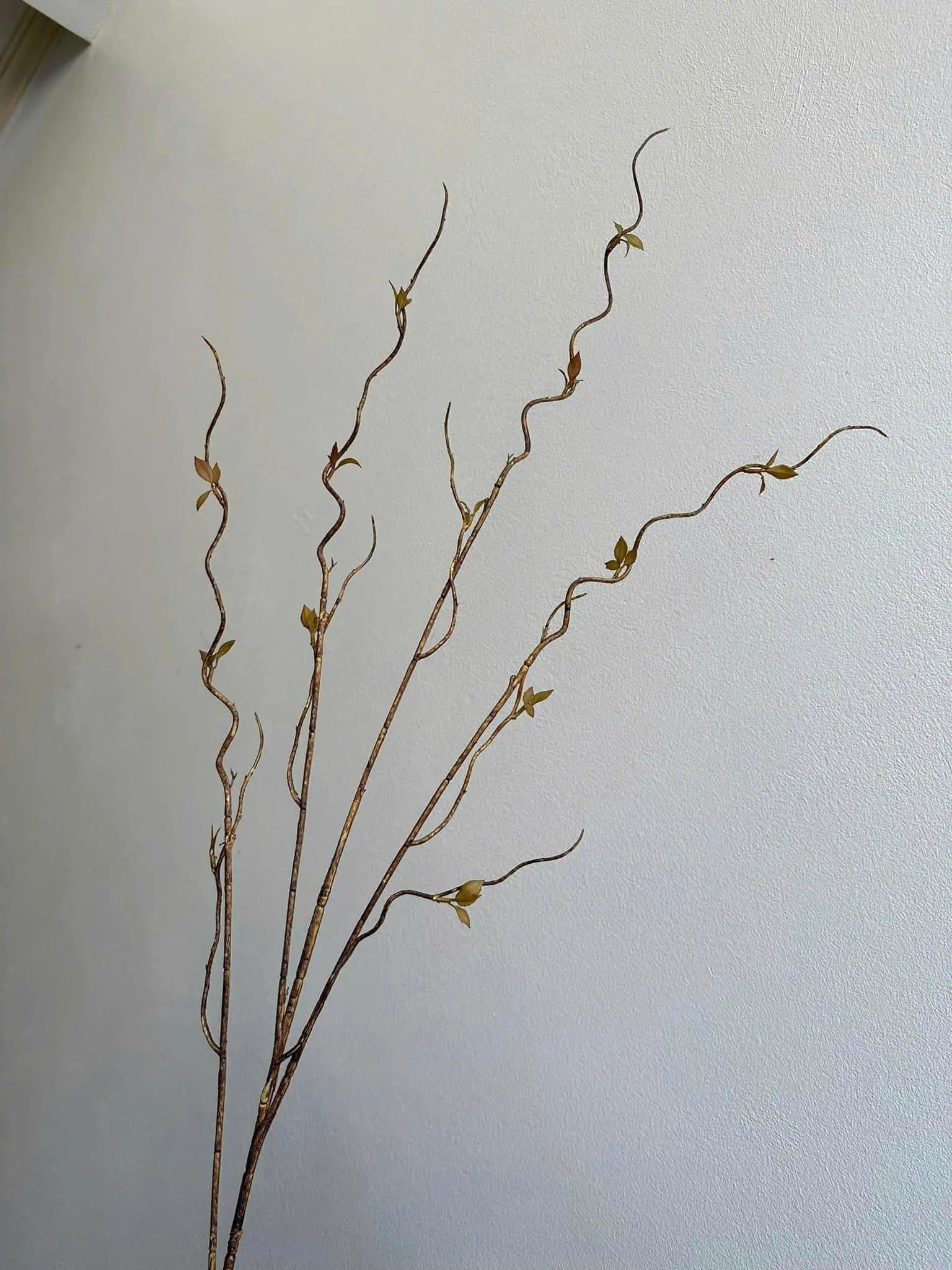 Điểm Salic Vip Sẵn Hàng