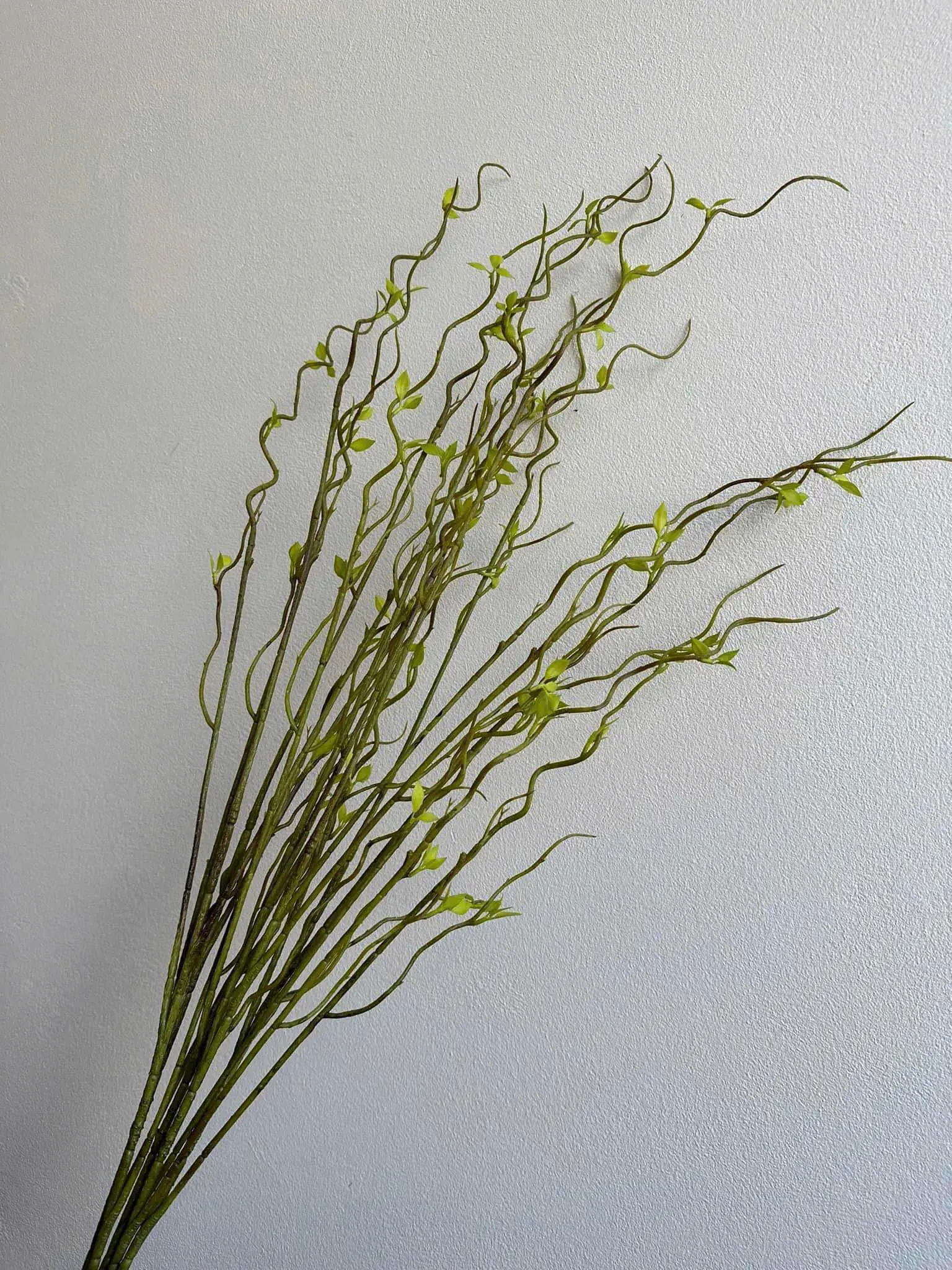 Điểm Salic Vip Sẵn Hàng - Ảnh 2