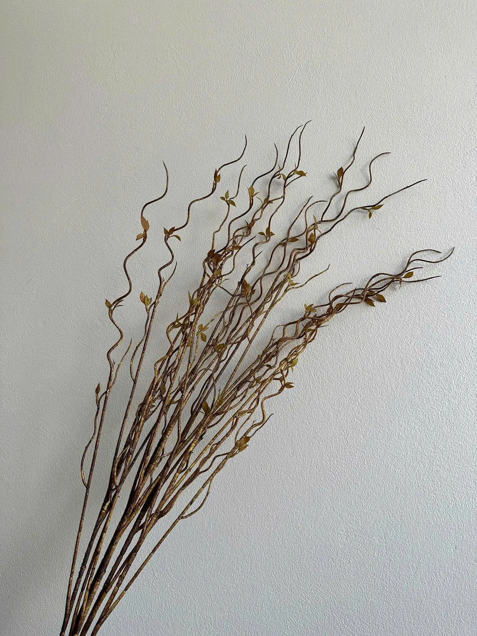 Điểm Salic Vip Sẵn Hàng - Ảnh 3