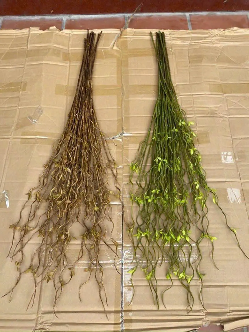 Điểm Salic Vip Sẵn Hàng - Ảnh 4