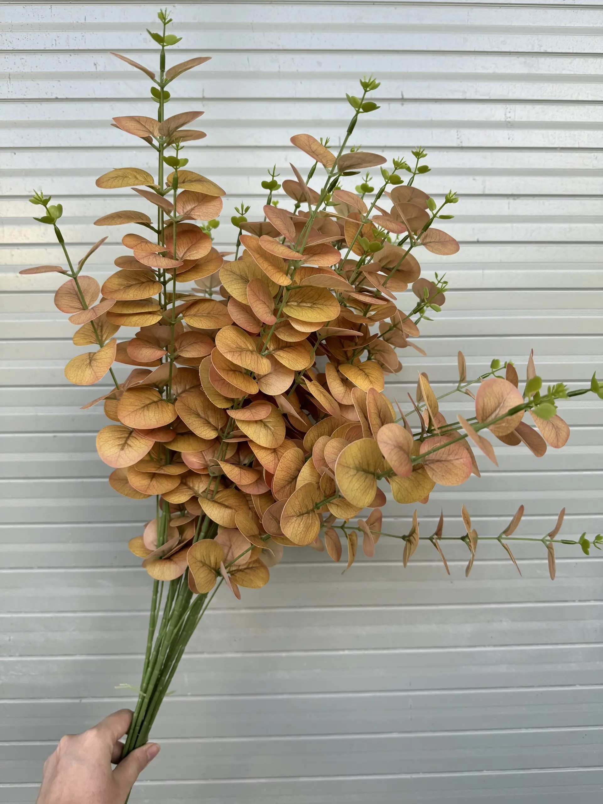 Điểm Táo 3D Đủ Màu - Ảnh 2