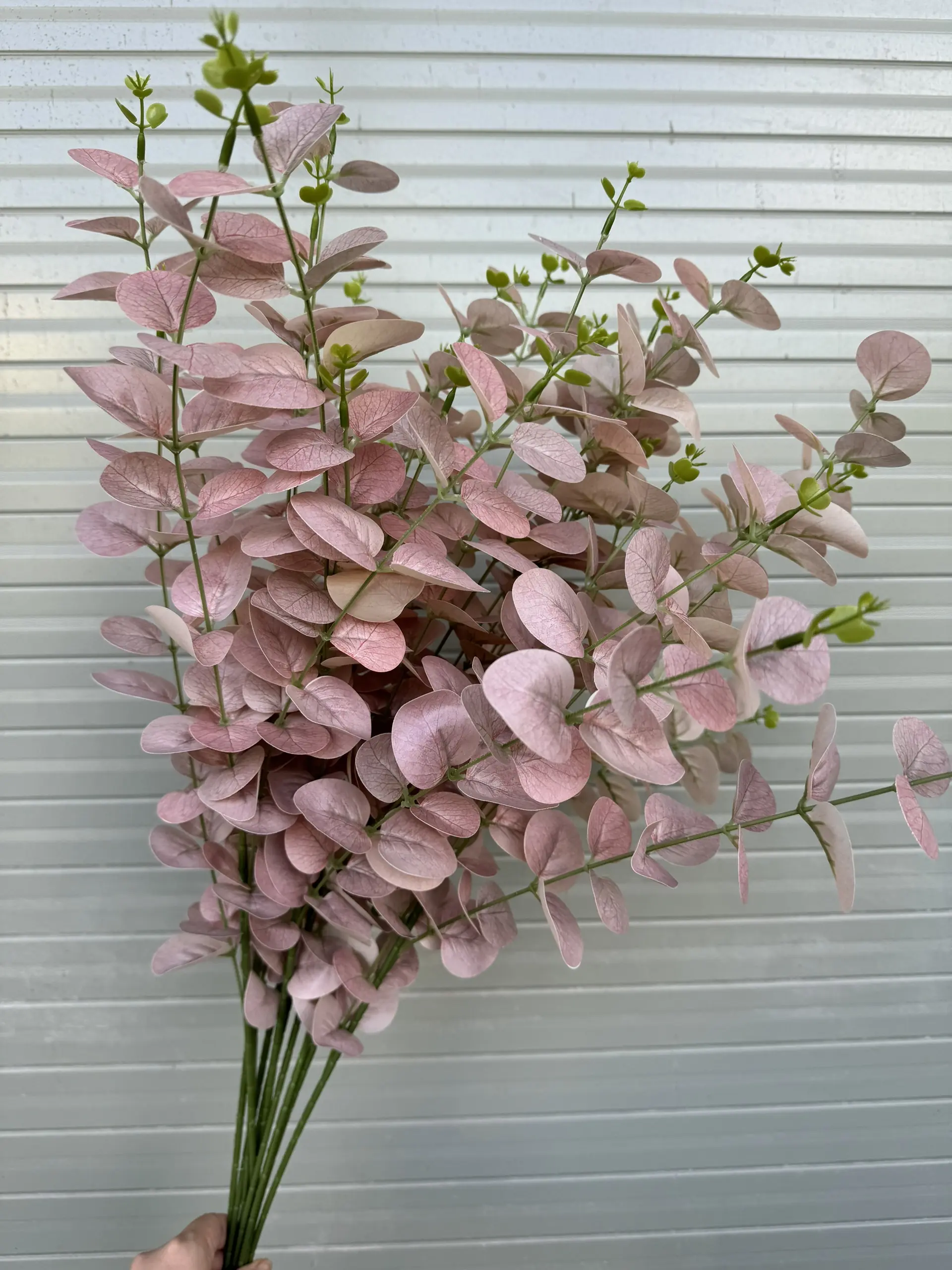 Điểm Táo 3D Đủ Màu - Ảnh 3