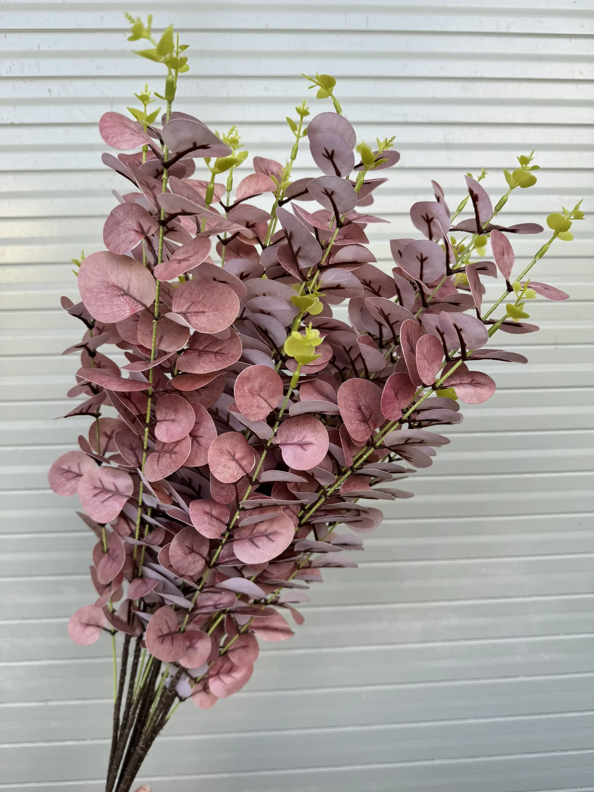 Điểm Táo 3D Đủ Màu - Ảnh 4