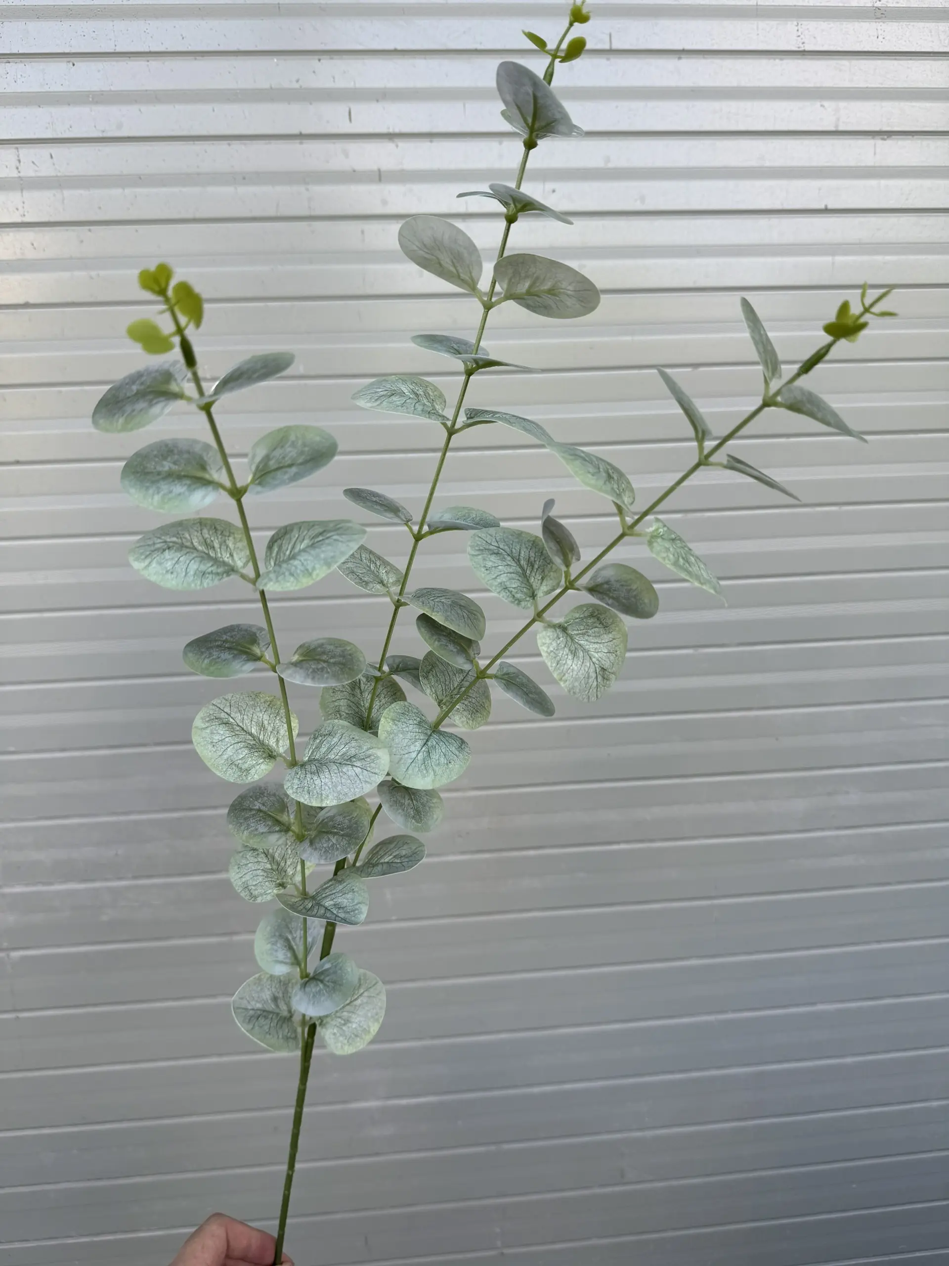 Điểm Táo 3D Đủ Màu - Ảnh 8