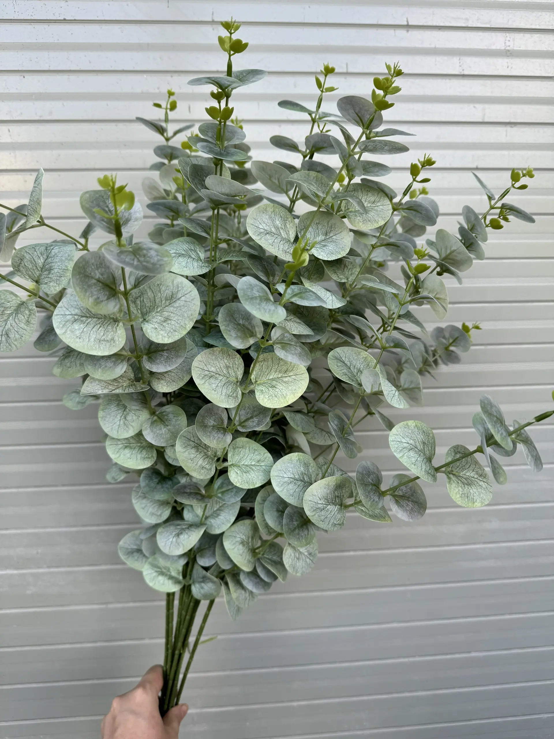 Điểm Táo 3D Đủ Màu - Ảnh 9