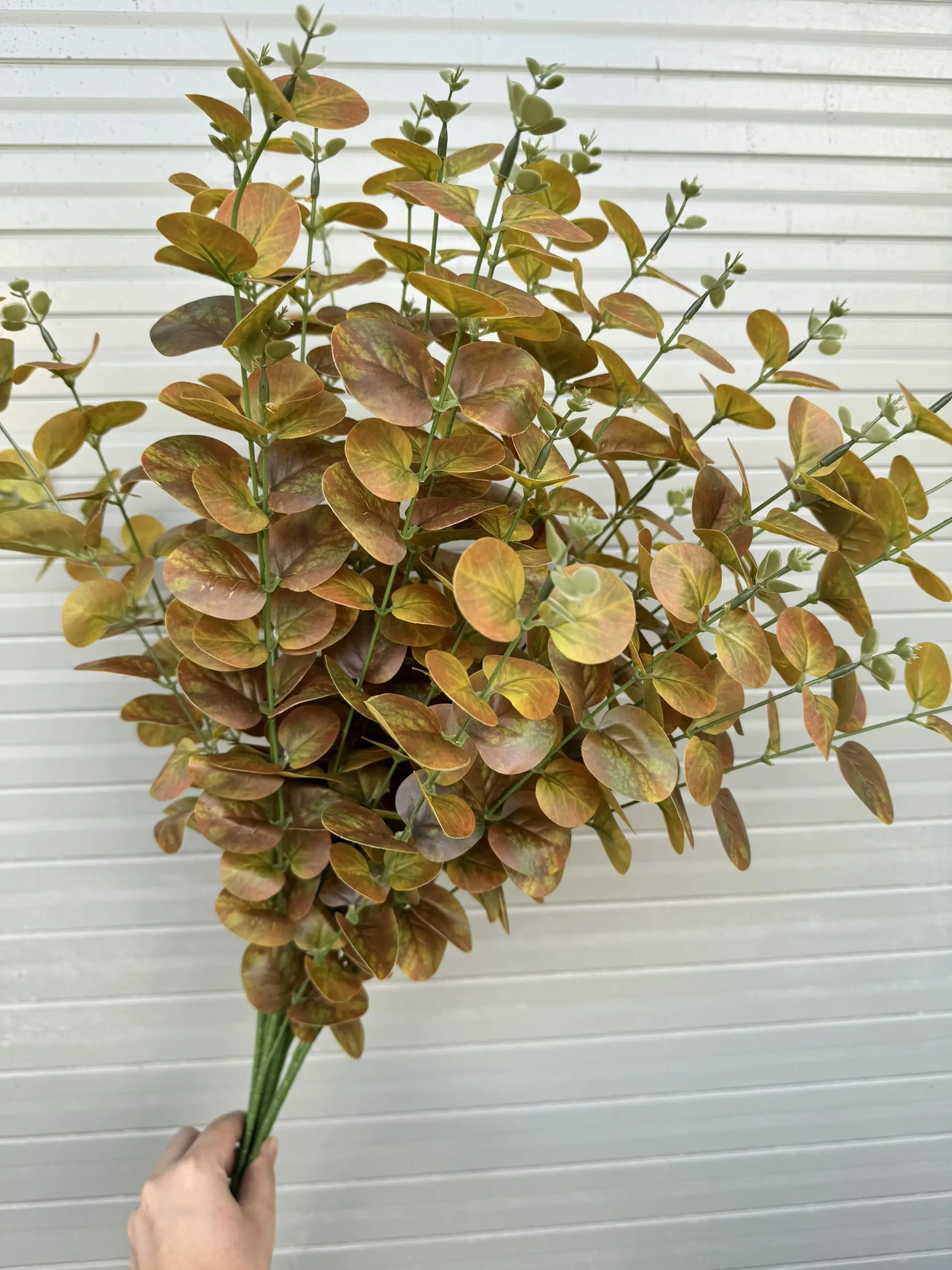 Điểm Táo 3D Đủ Màu - Ảnh 10