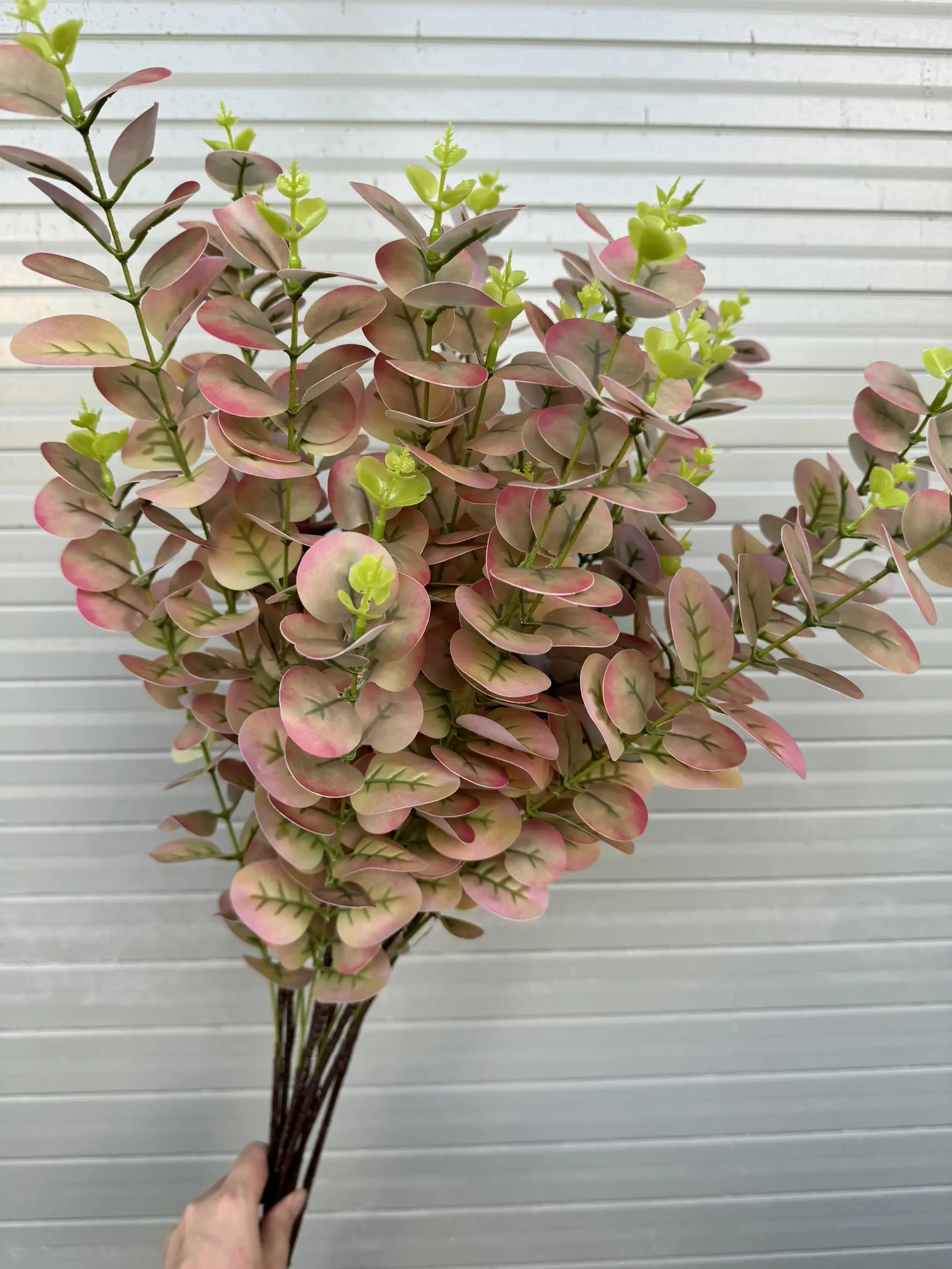 Điểm Táo 3D Đủ Màu - Ảnh 12