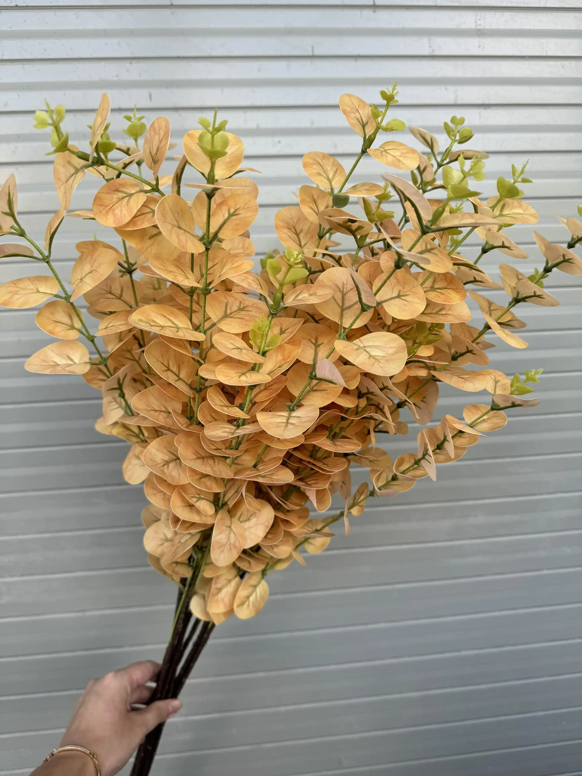 Điểm Táo 3D Đủ Màu - Ảnh 13