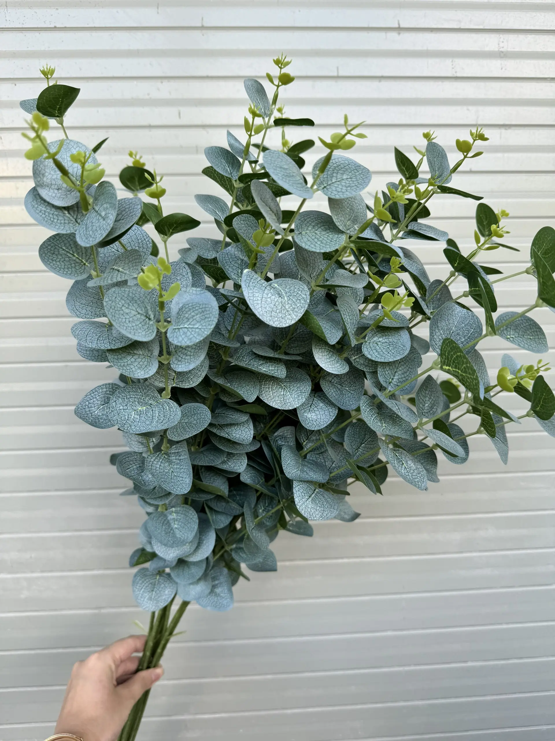 Điểm Táo 3D Đủ Màu - Ảnh 15