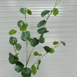 Điểm Táo Tròn Cao Su