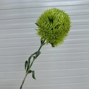 Điểm Thạch Trúc Cao Su