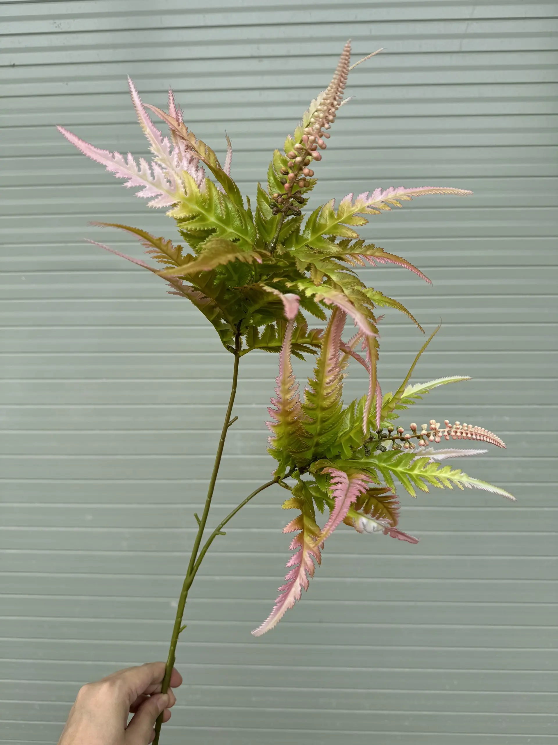 Điểm Thạch Tùng - Ảnh 2