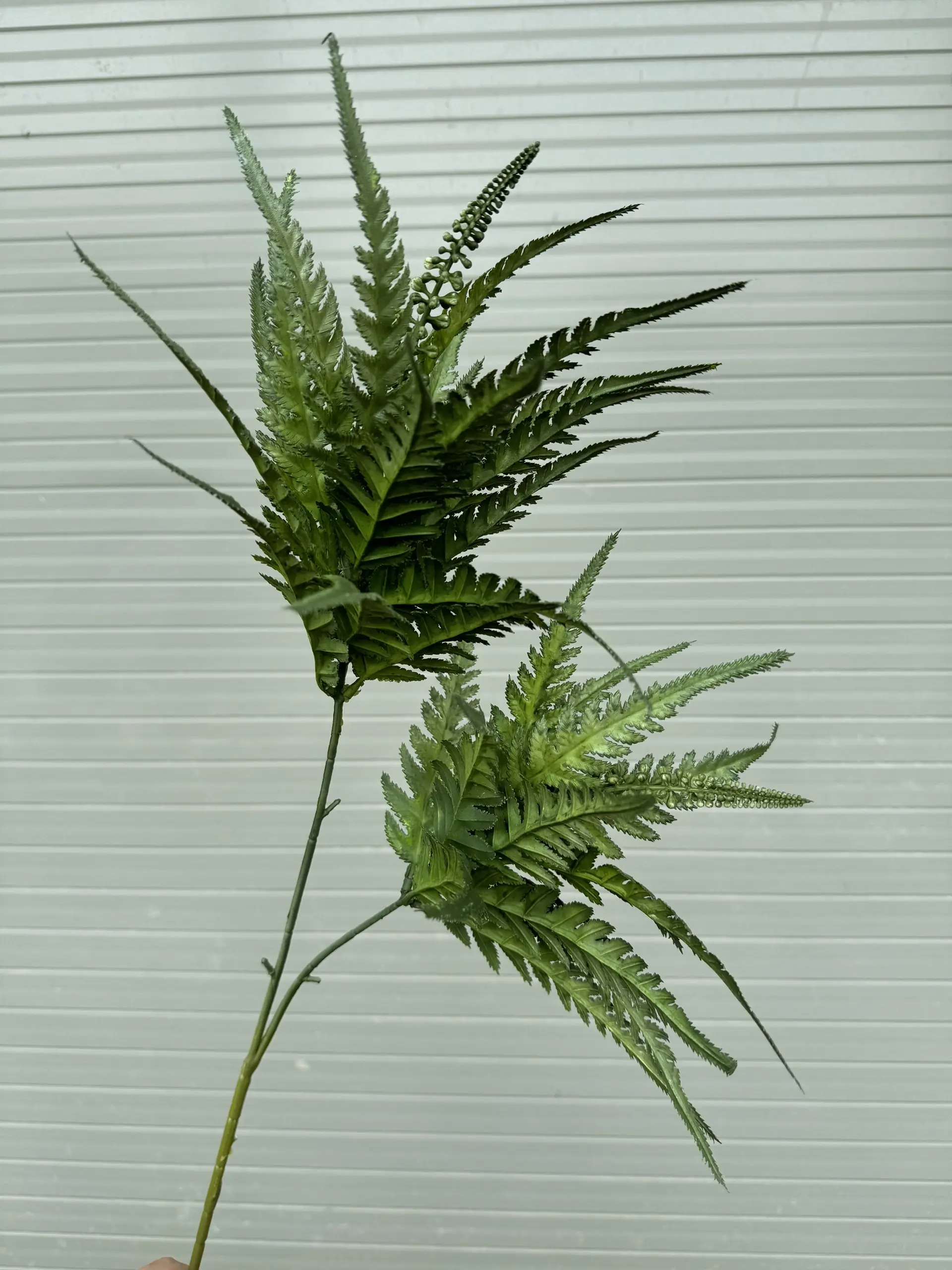 Điểm Thạch Tùng - Ảnh 7