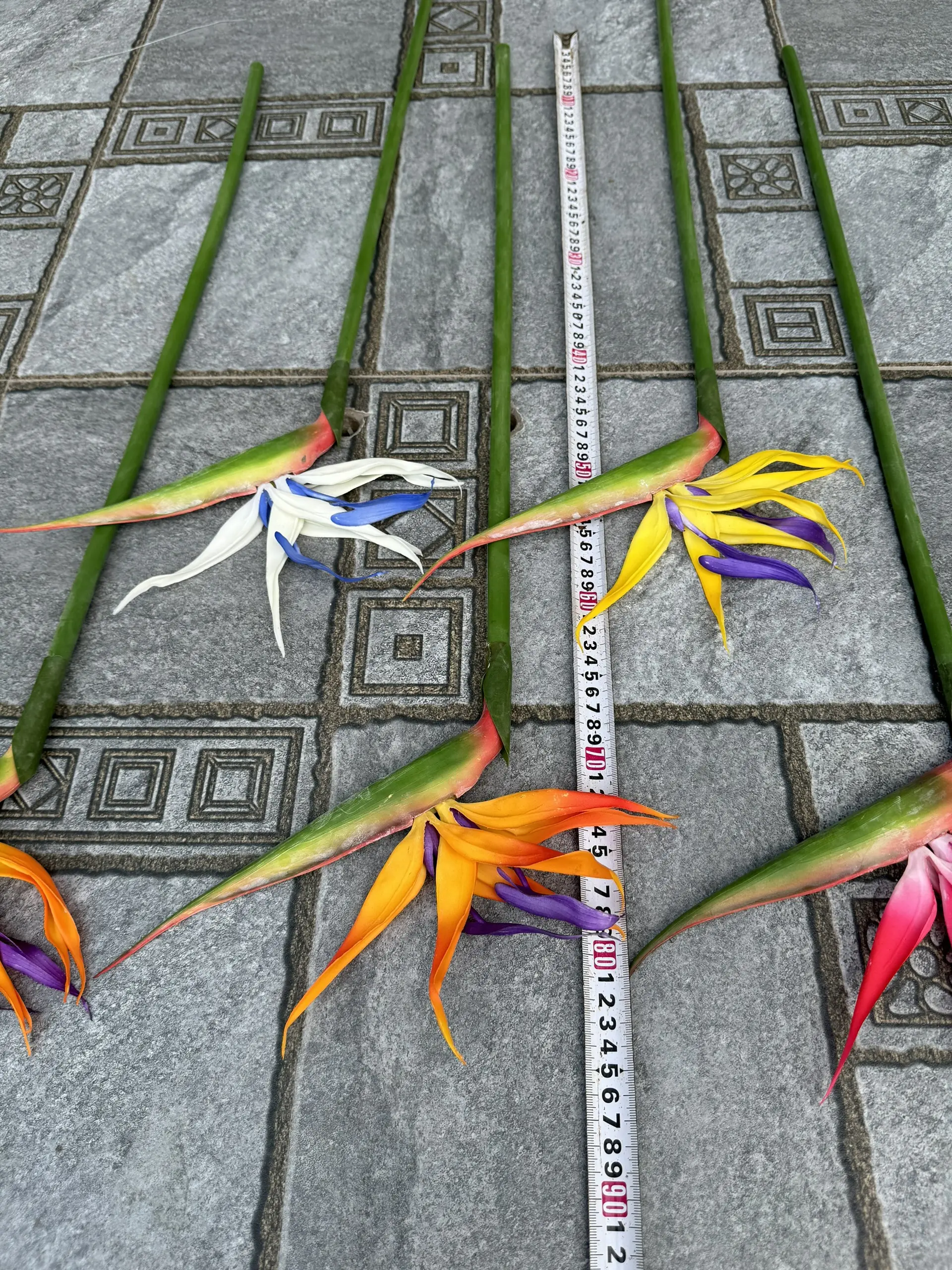 Điểm Thiên Điểu Size To - Ảnh 8