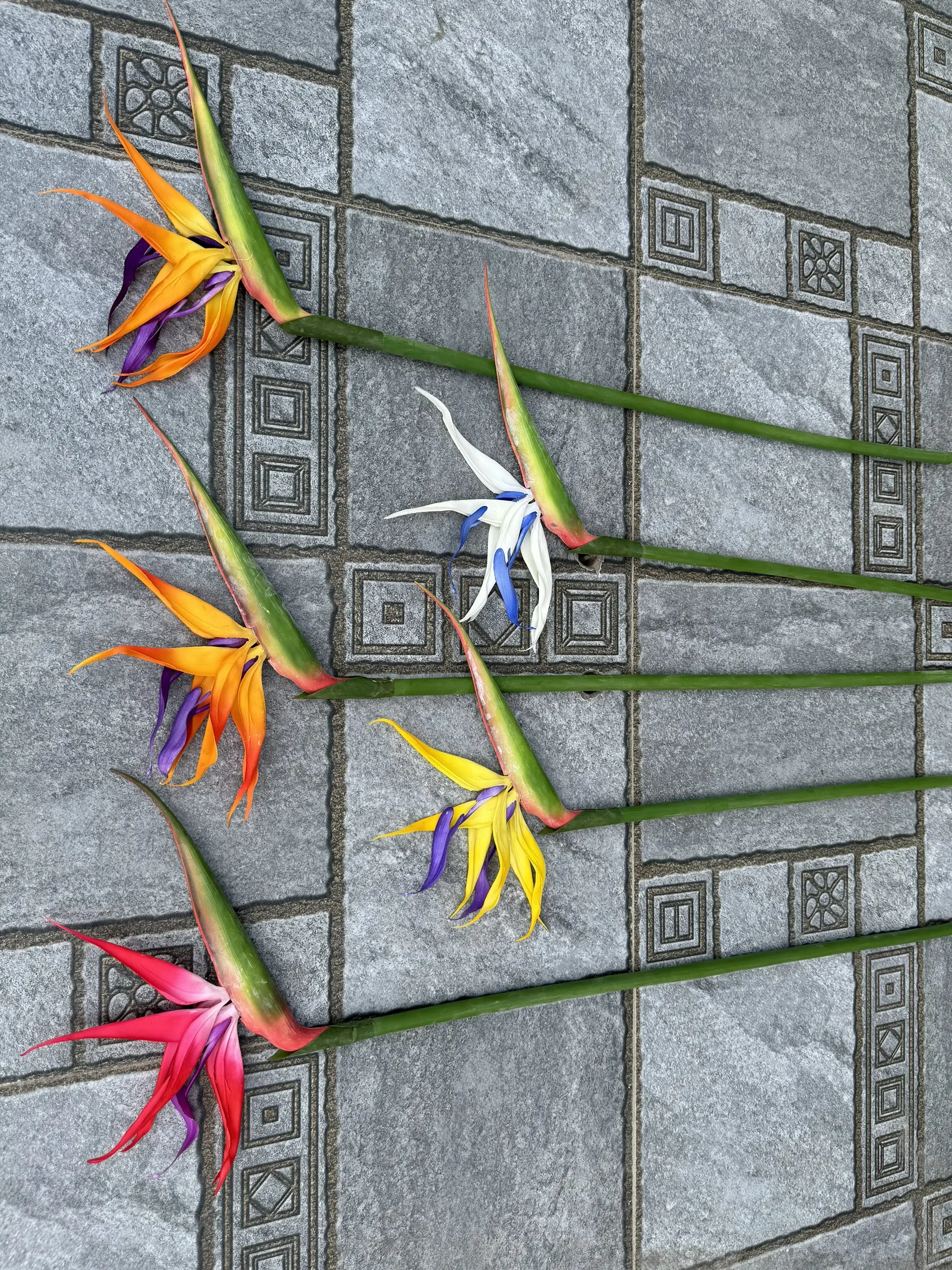 Điểm Thiên Điểu Size To - Ảnh 9