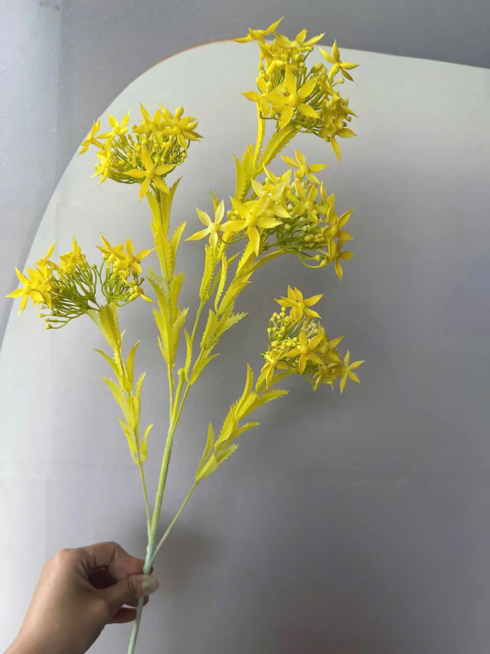 Điểm Thiên Nga Siêu Xinh