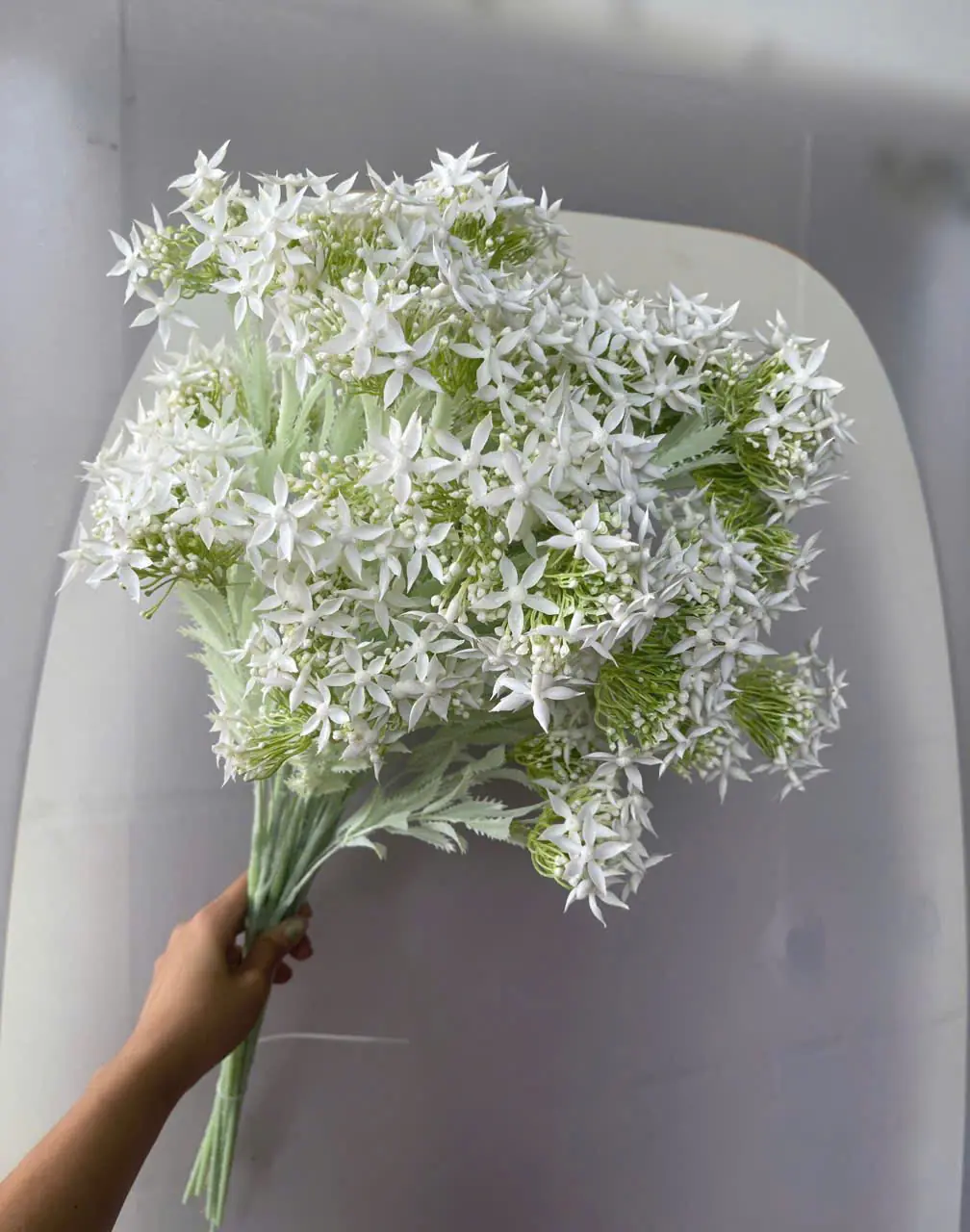 Điểm Thiên Nga Siêu Xinh - Ảnh 2